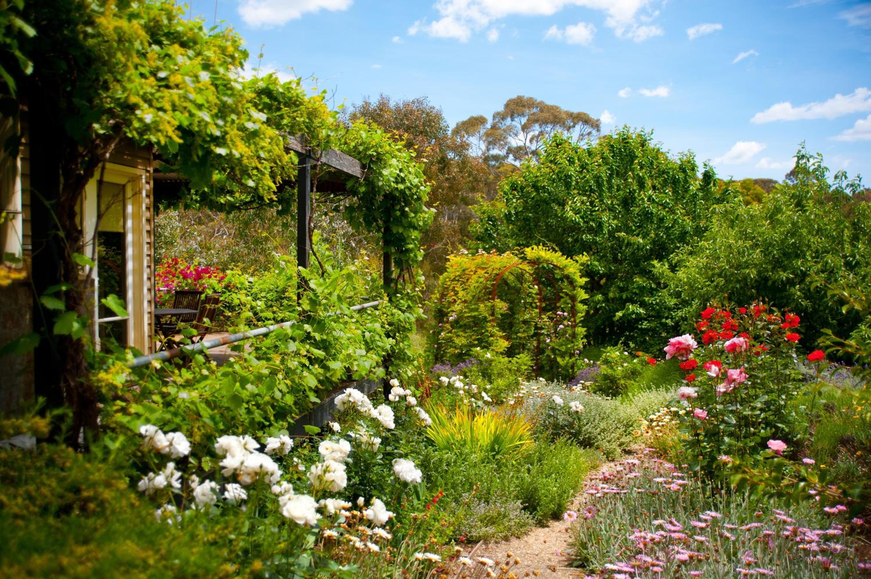 Kookaburra Ridge