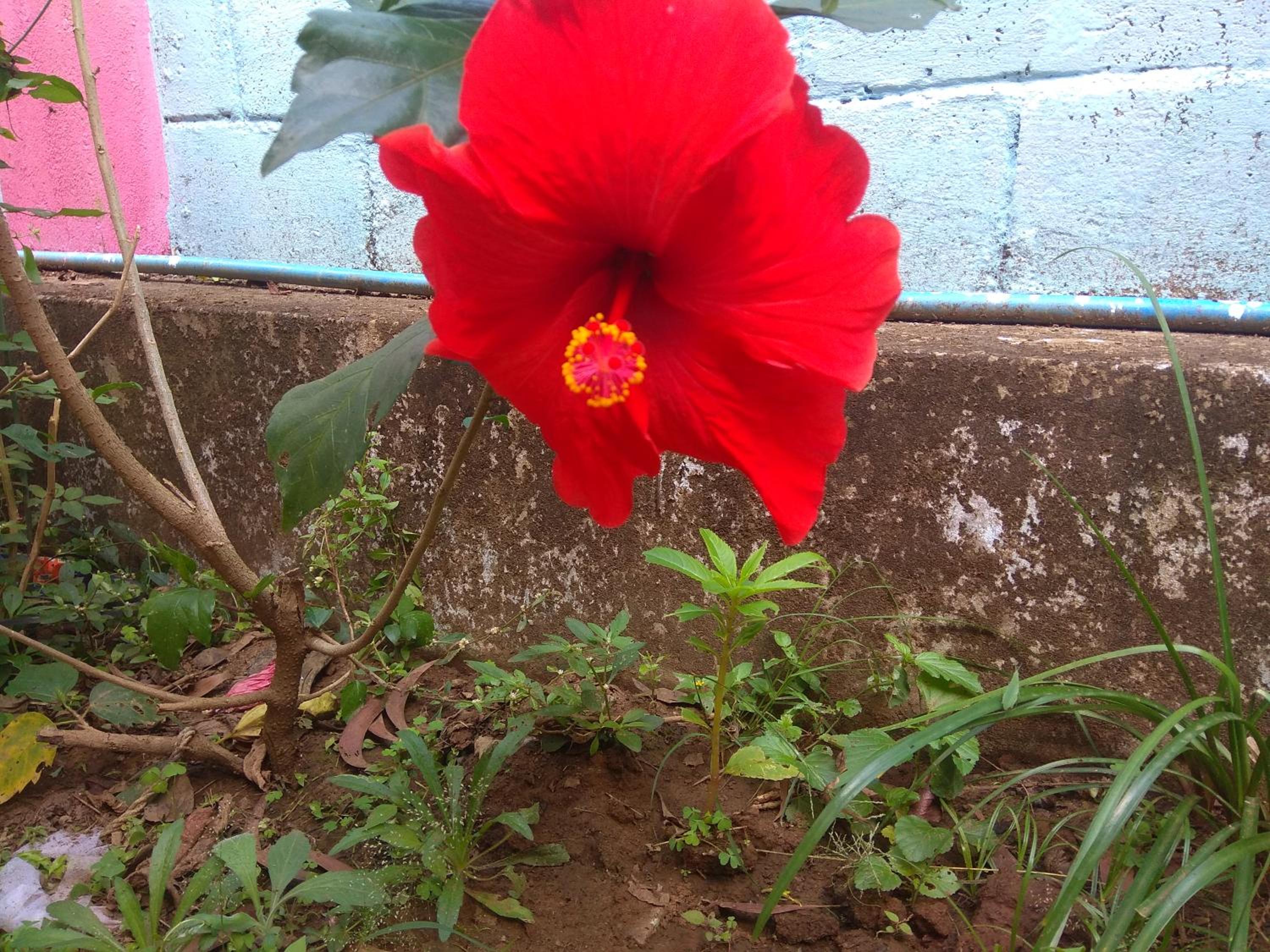 Photo 8
