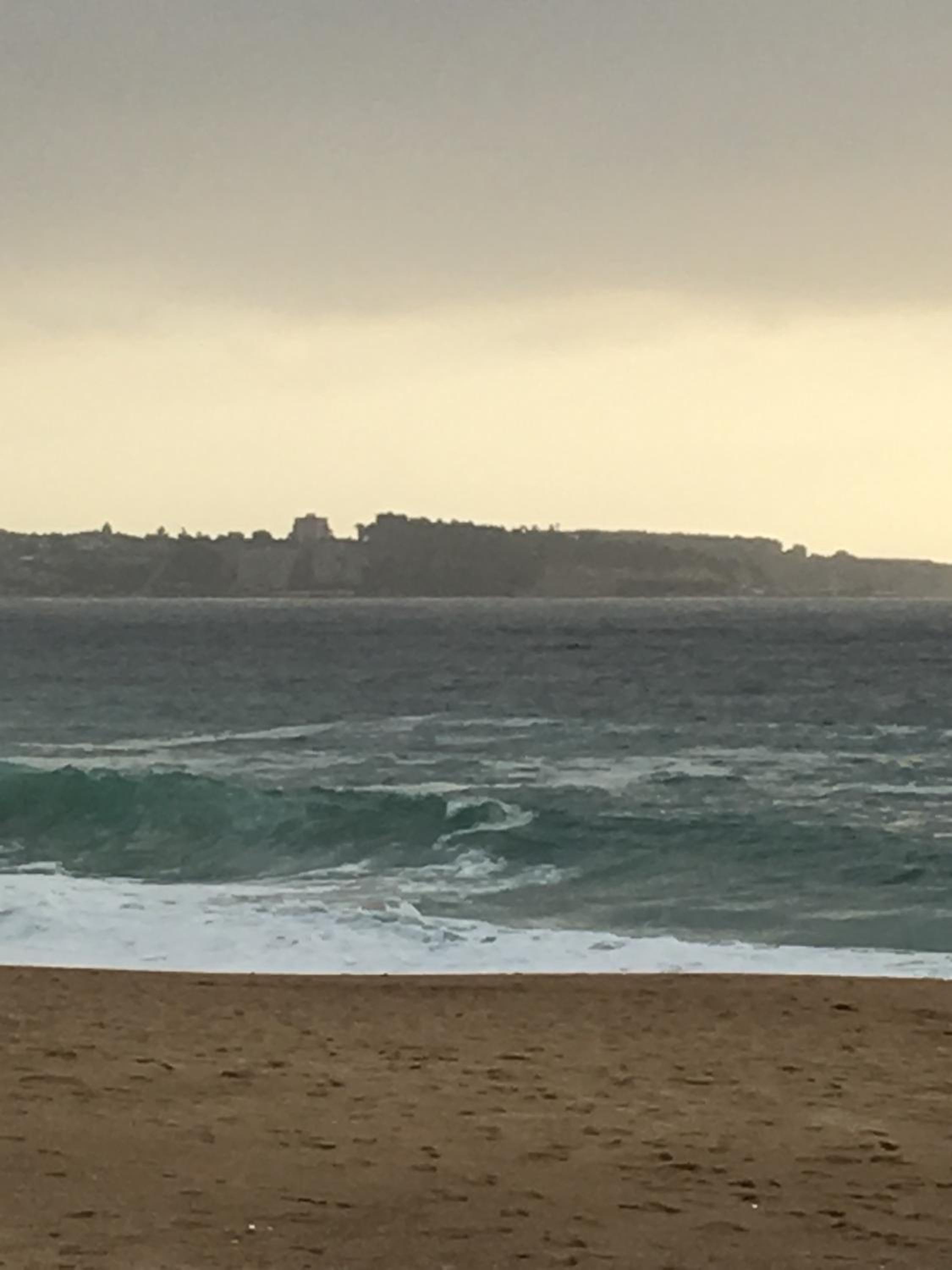 Cabañas en Algarrobo Norte