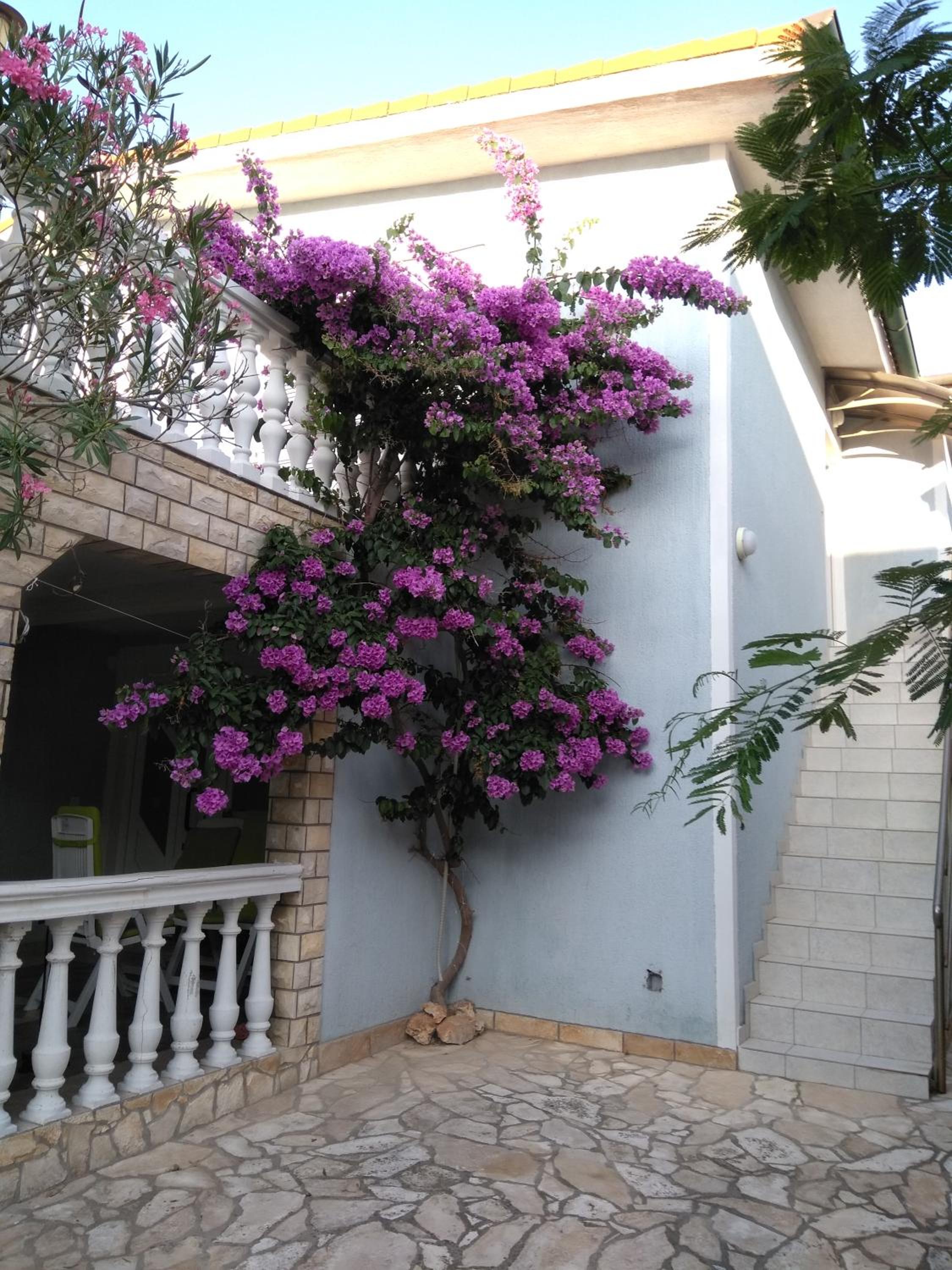 Apartmani Korade view 2