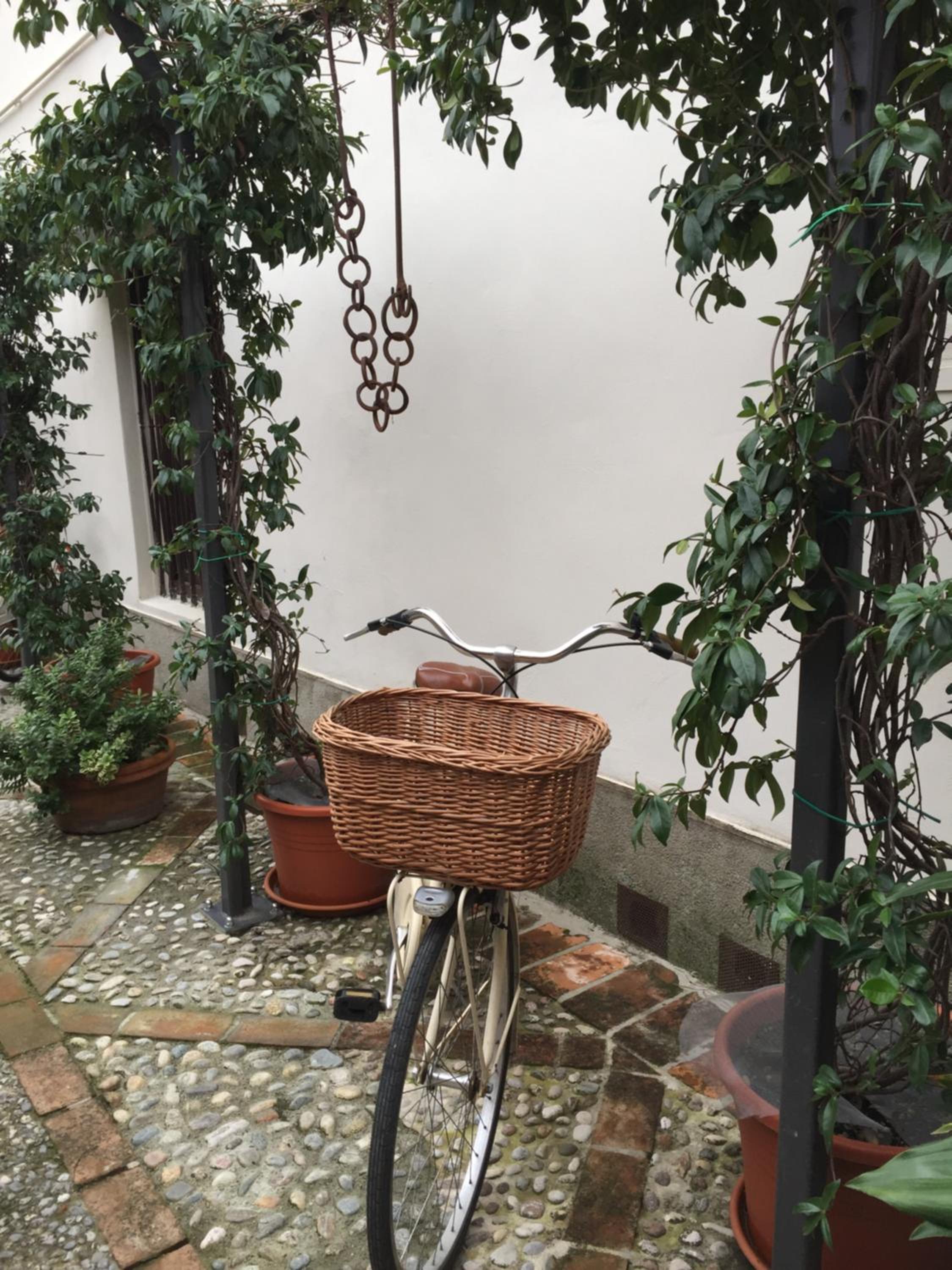 Il Giardino Segreto