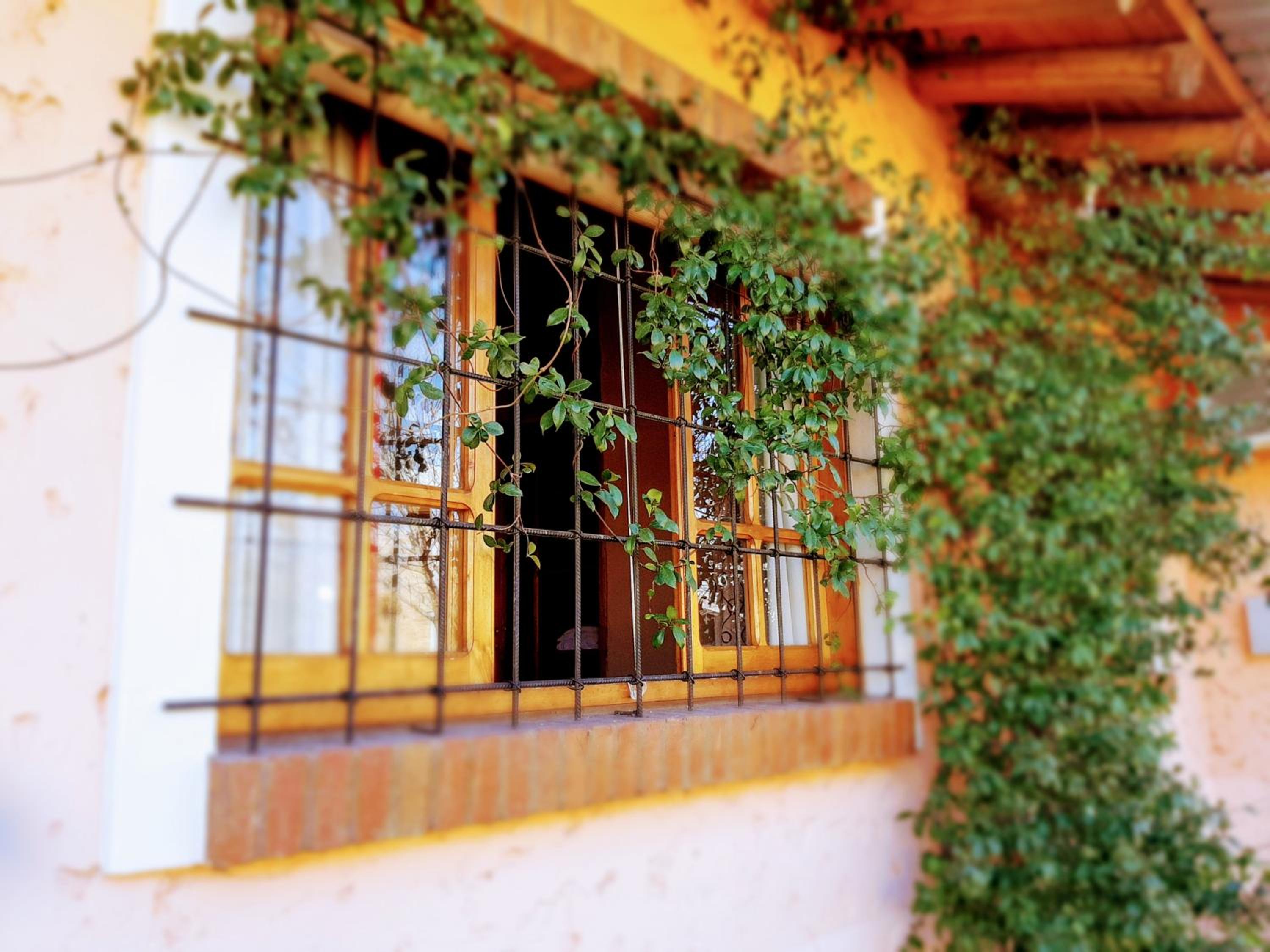 Cabañas Calderón II