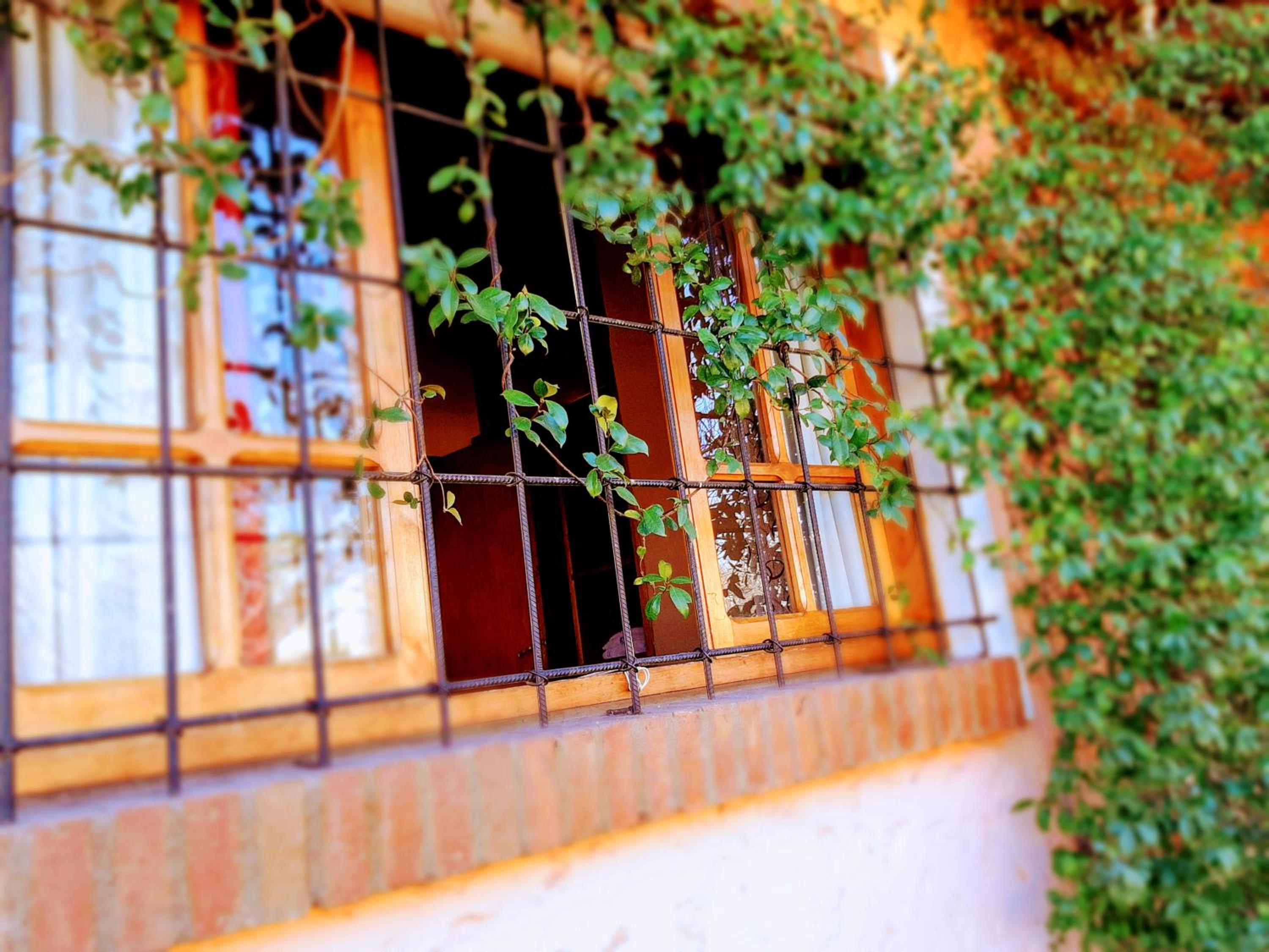 Cabañas Calderón II