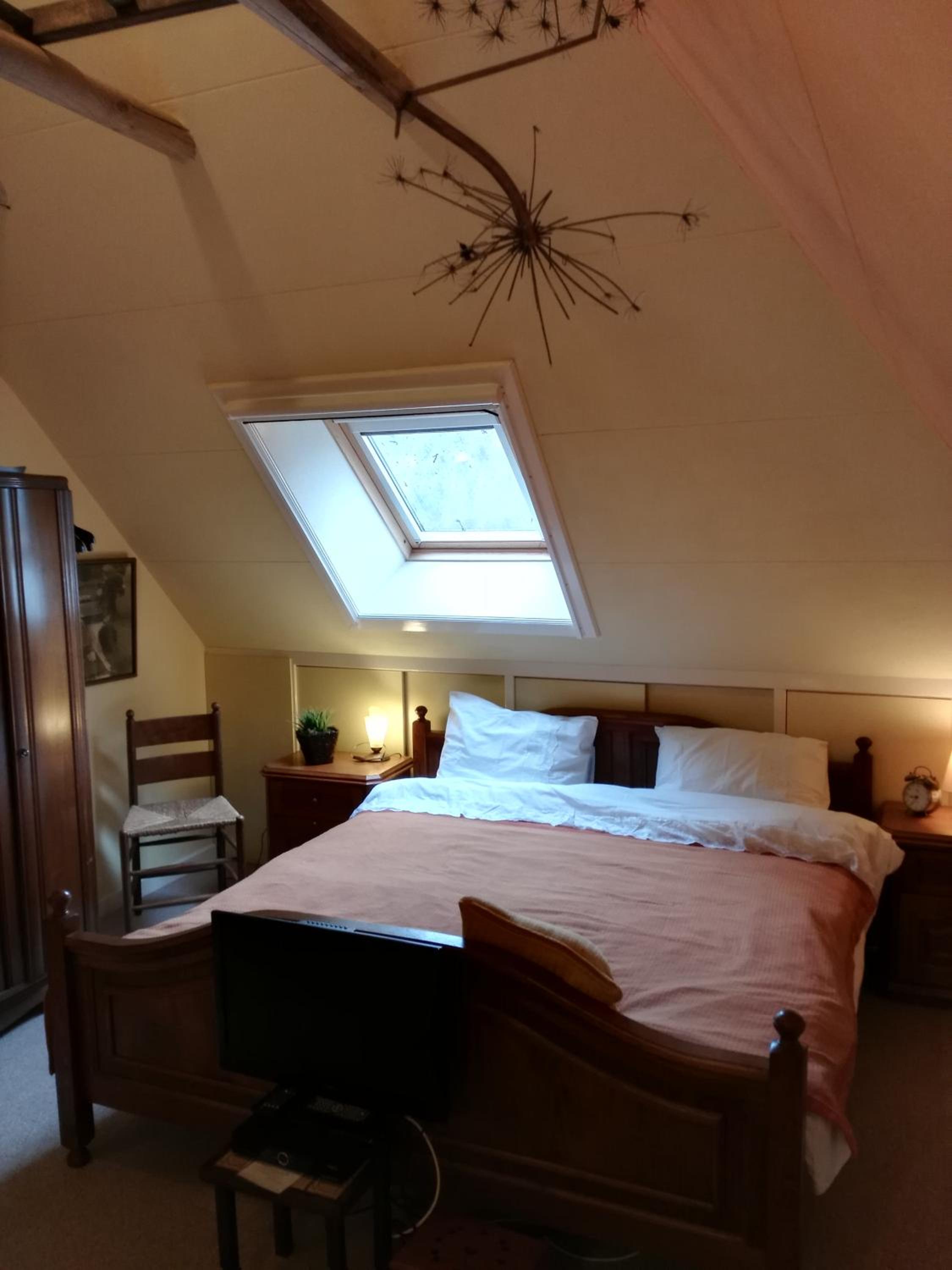 Onder de Linde, Rust, Natuur en Privacy view 3