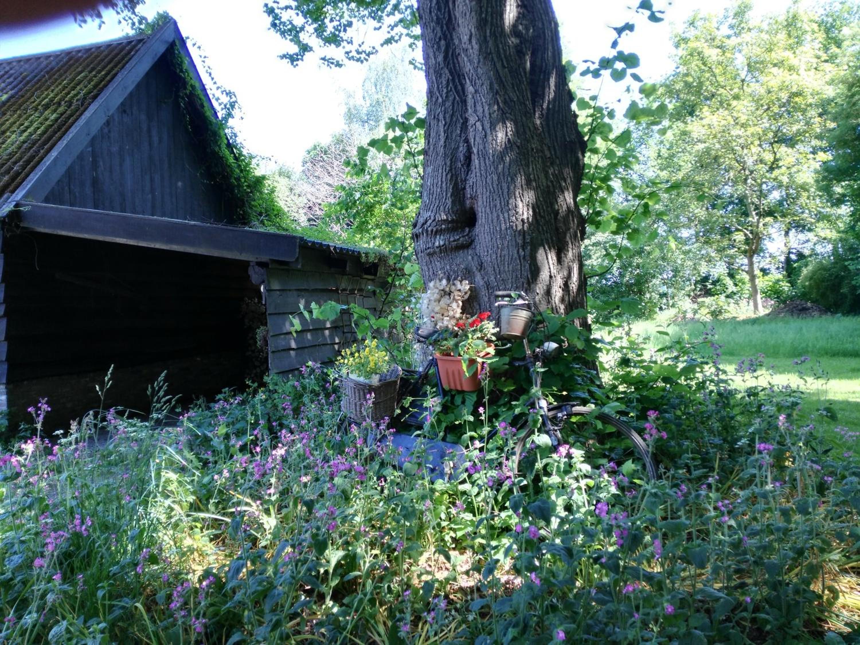 Photo 20