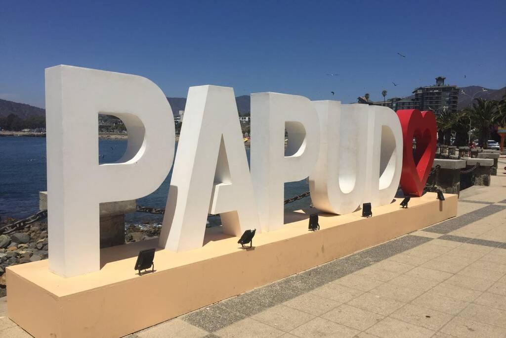 Departamento En Papudo