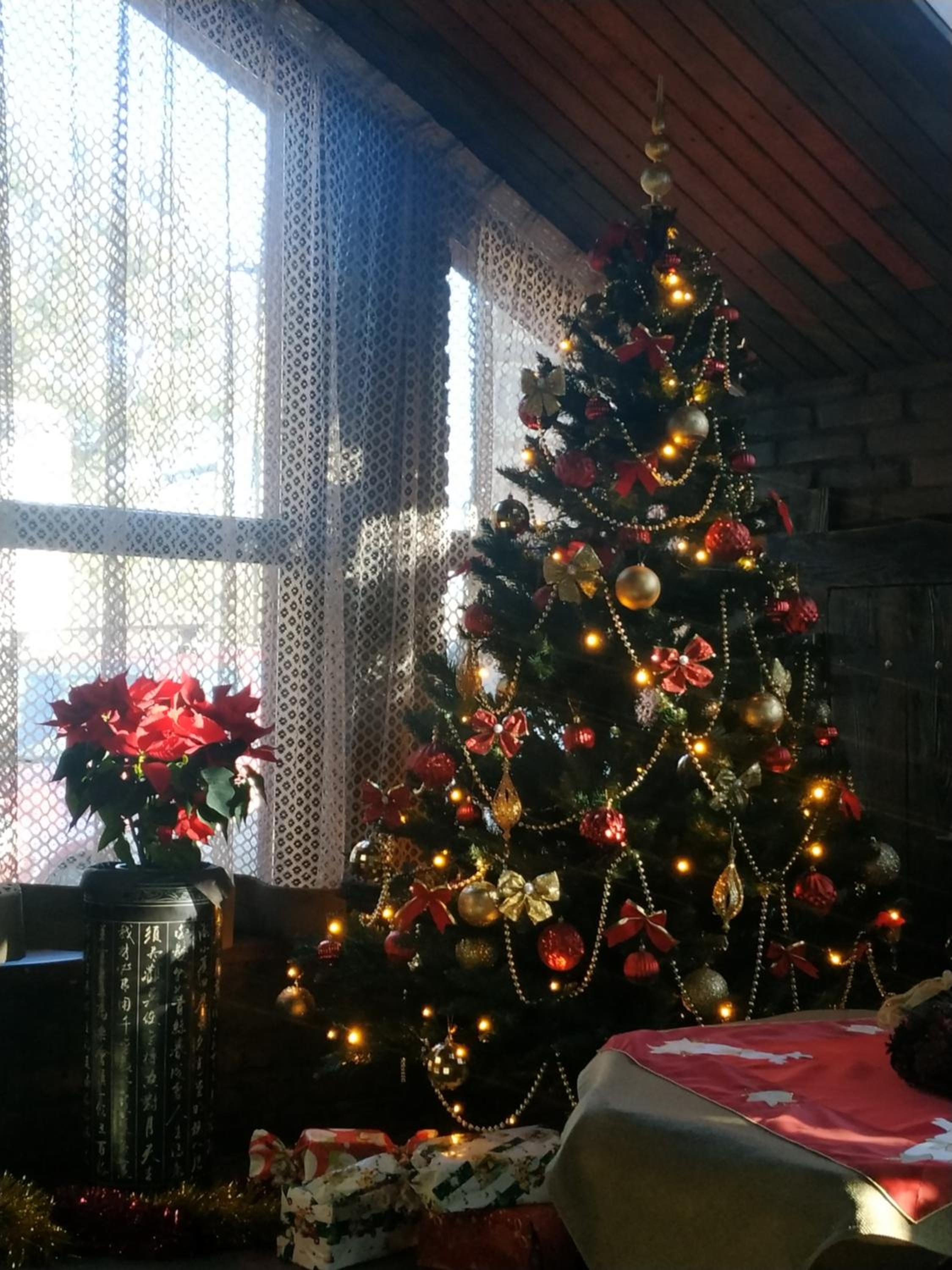 Photo 51