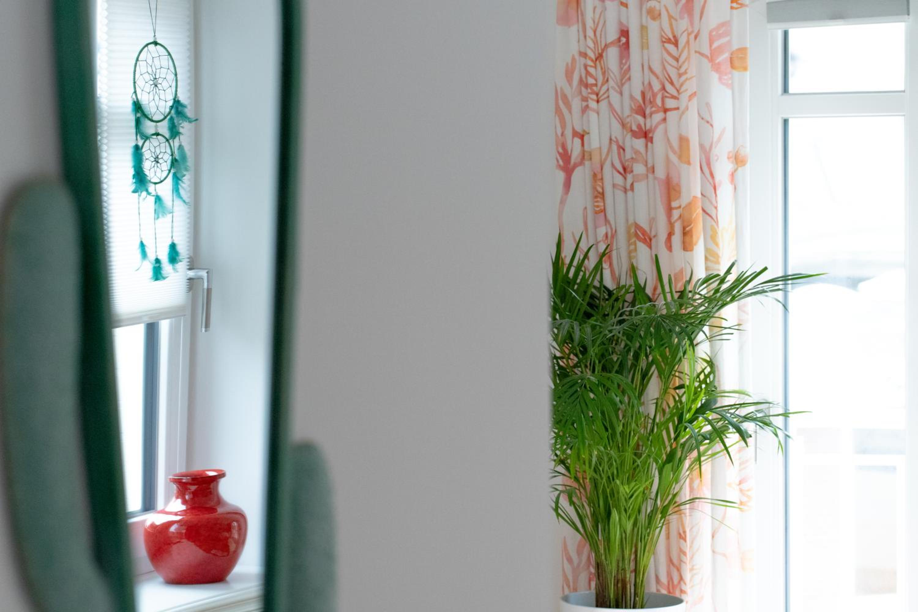 La Maison M, photo 30