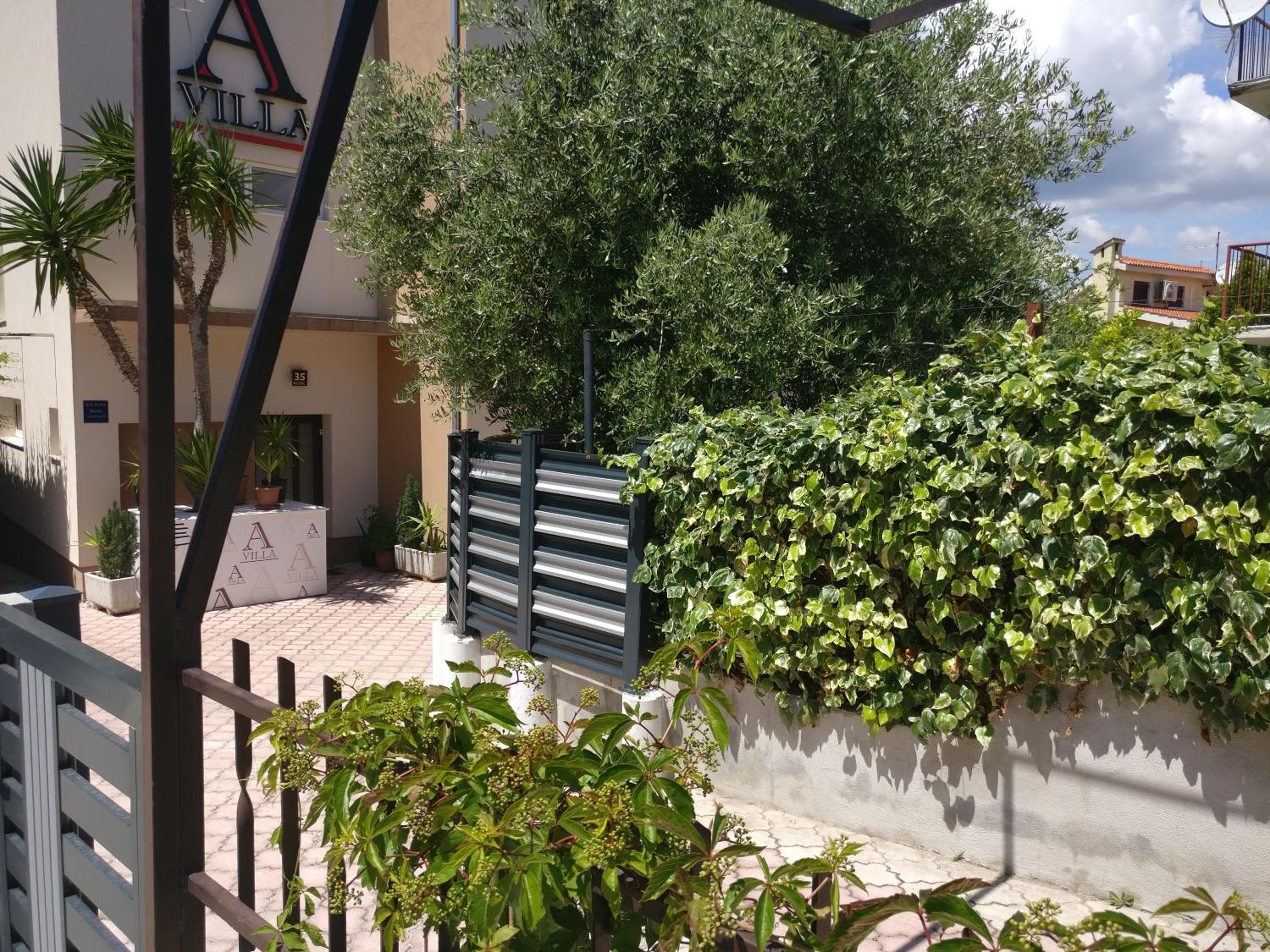 Photo 25