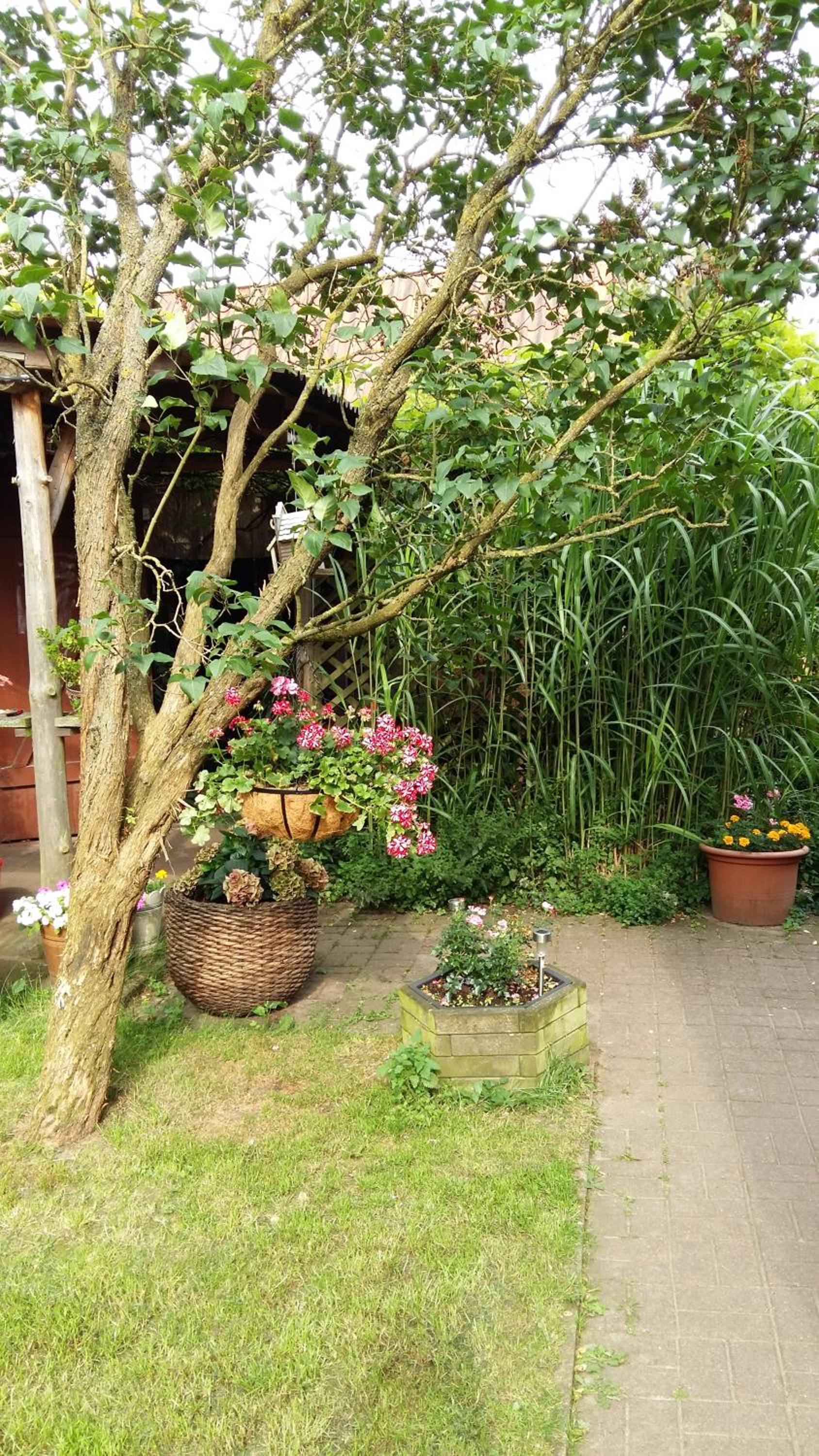Romantikgarten