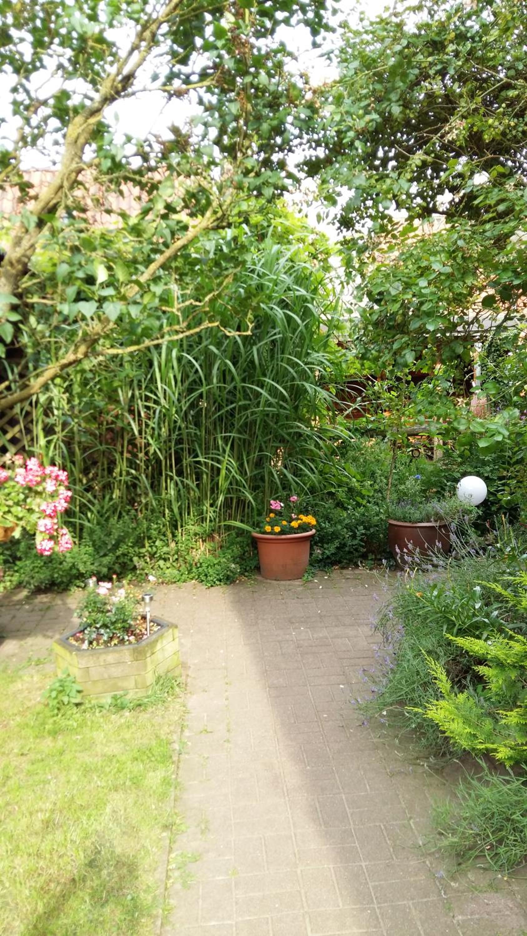 Romantikgarten