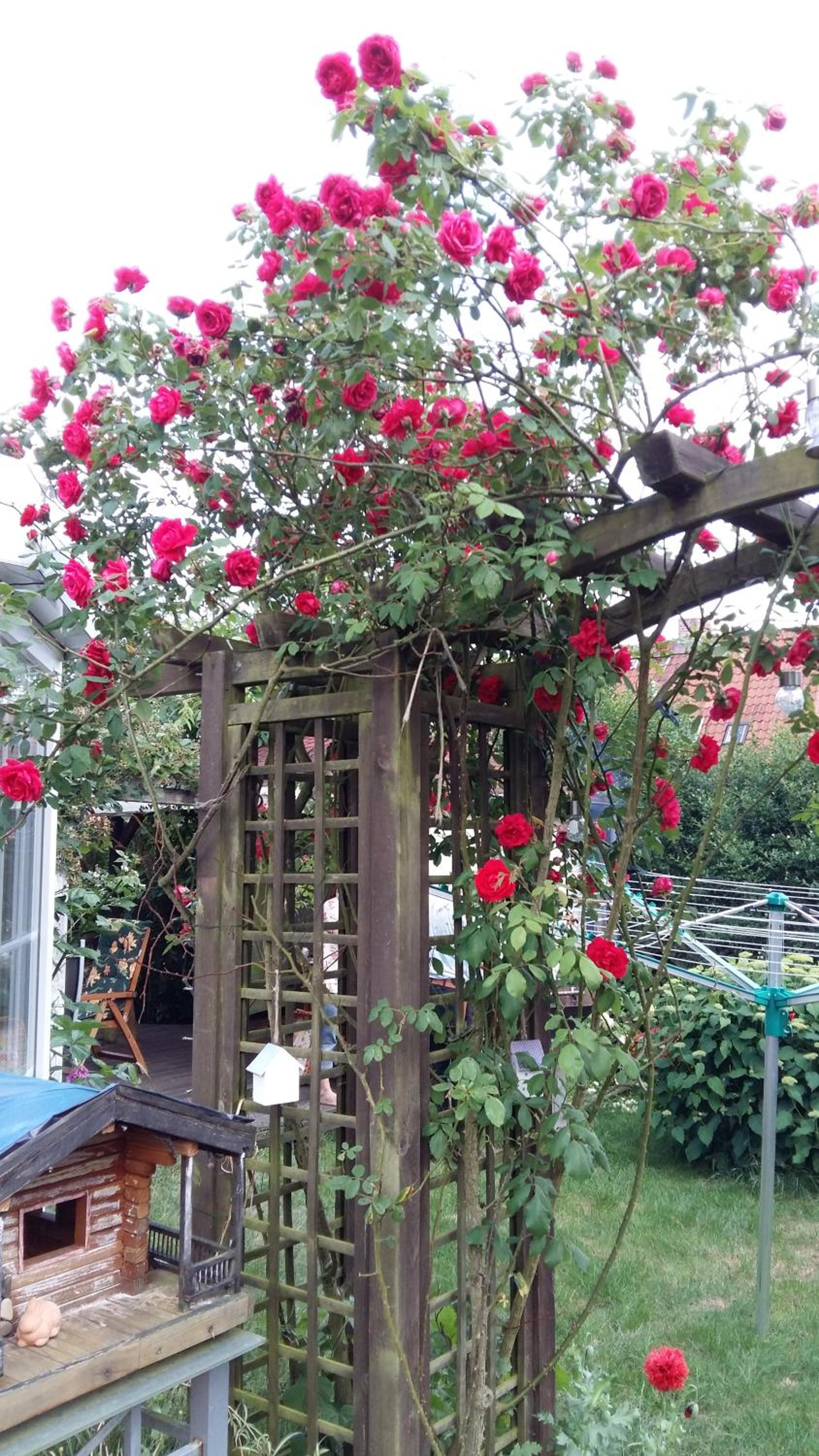 Romantikgarten