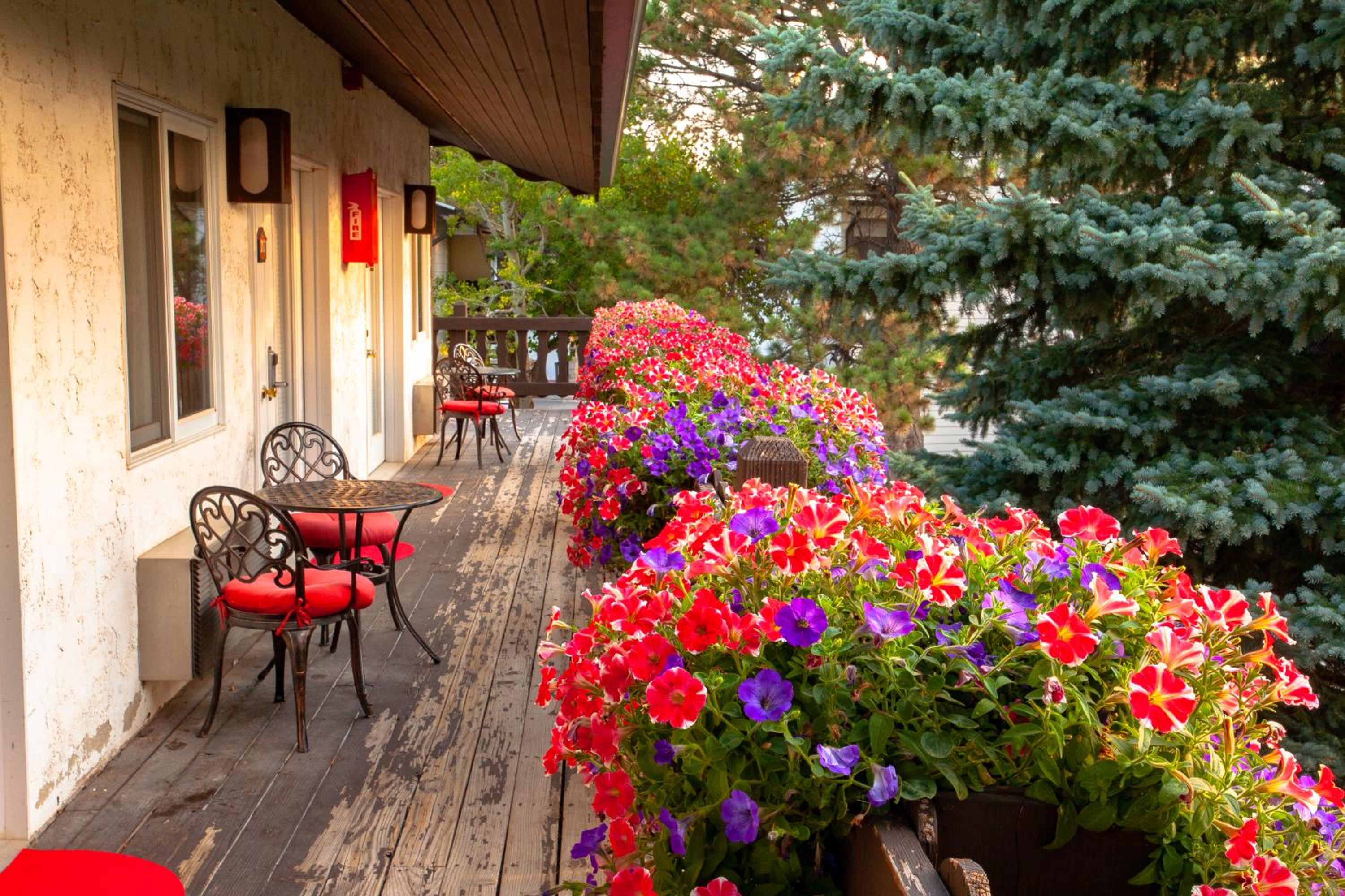 Bavarian Inn, Black Hills