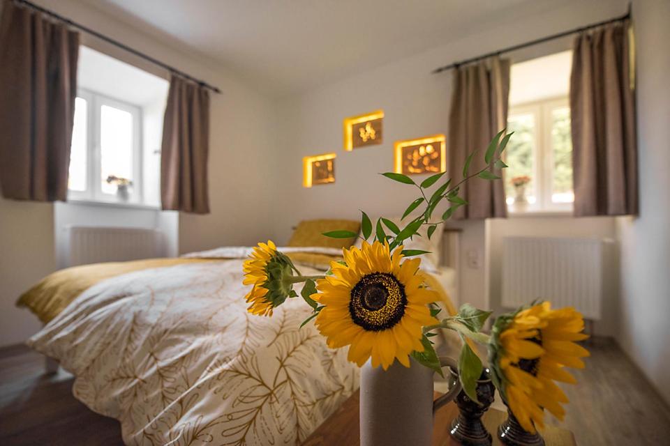 Apartmány HÁJOVNA Lipno