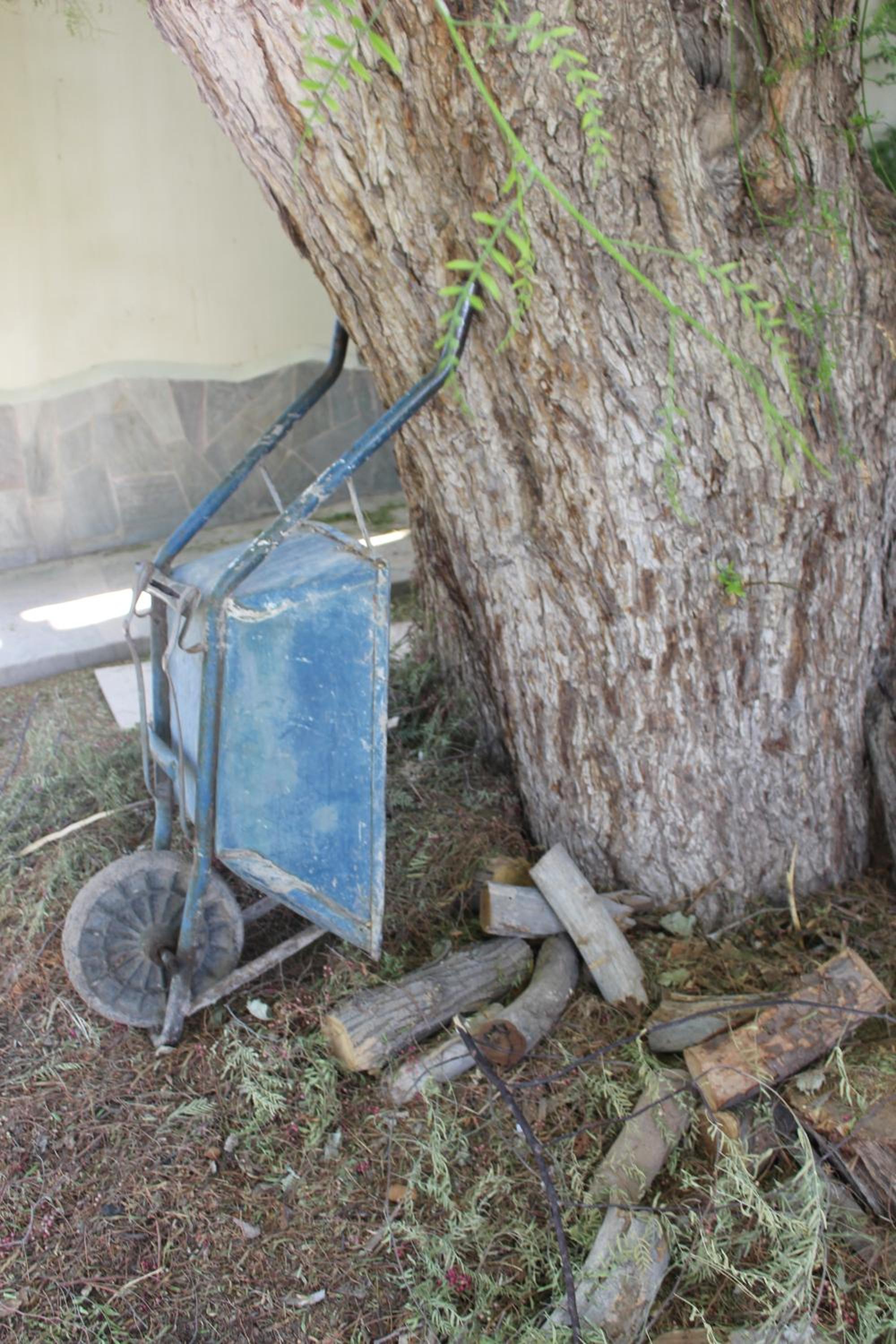 Cabaña en Olivar Centenario Agroecológico Tutuna