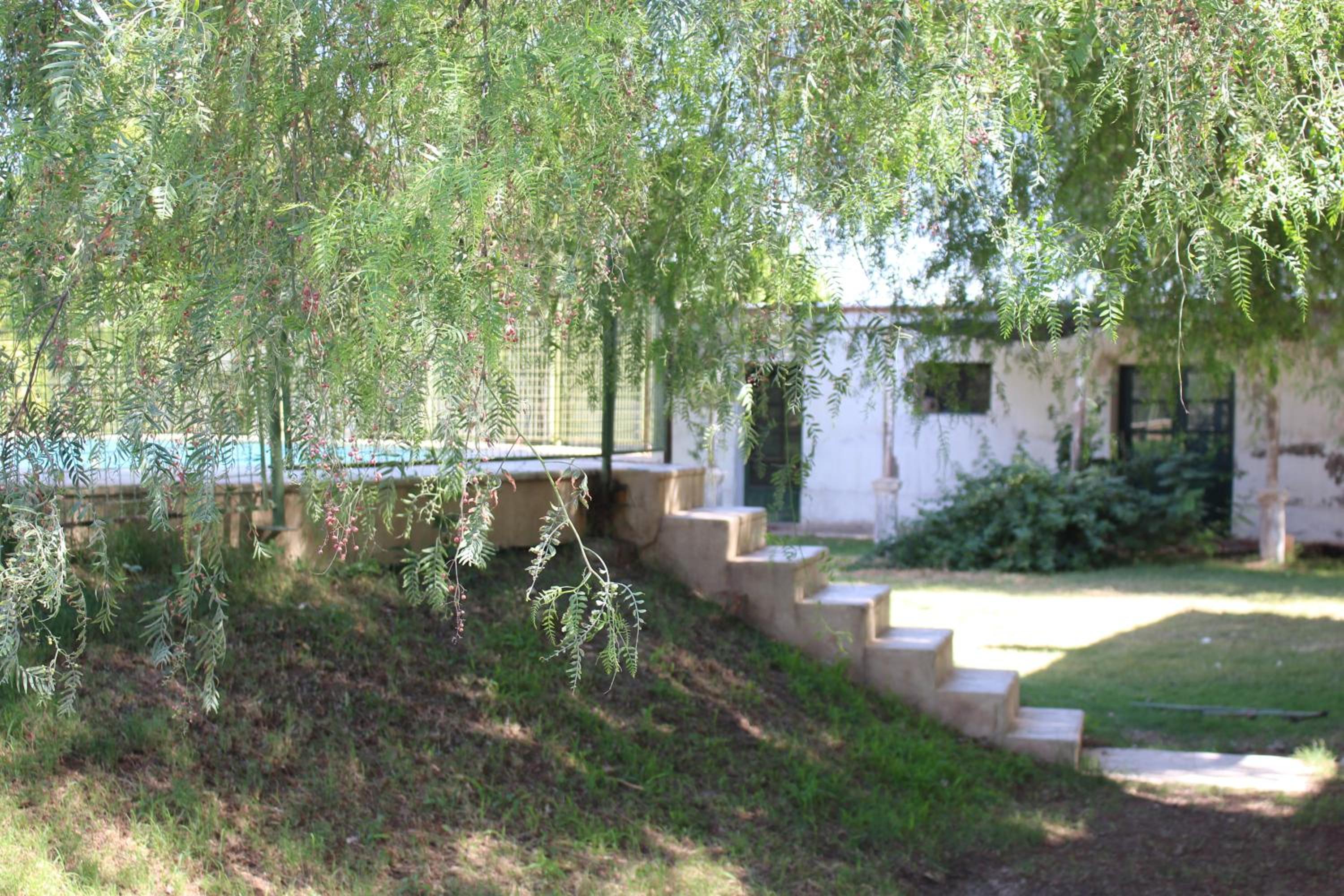 Cabaña en Olivar Centenario Agroecológico Tutuna