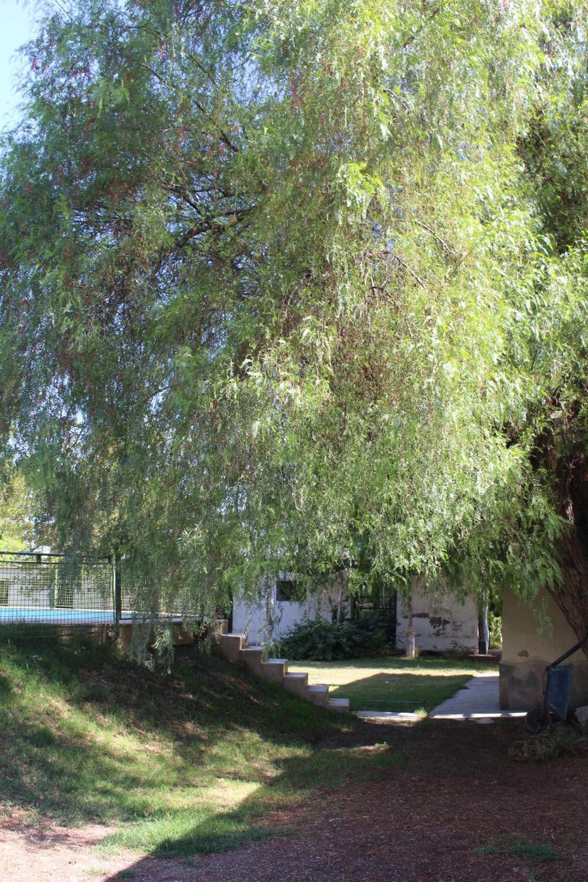 Cabaña en Olivar Centenario Agroecológico Tutuna