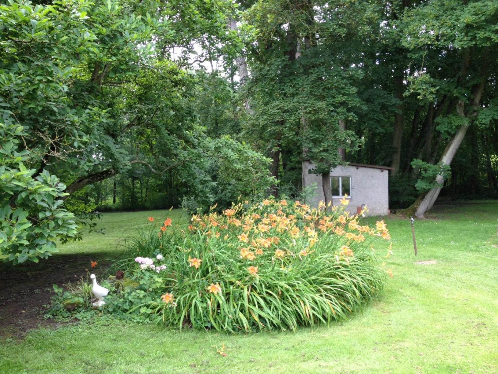 Photo 29