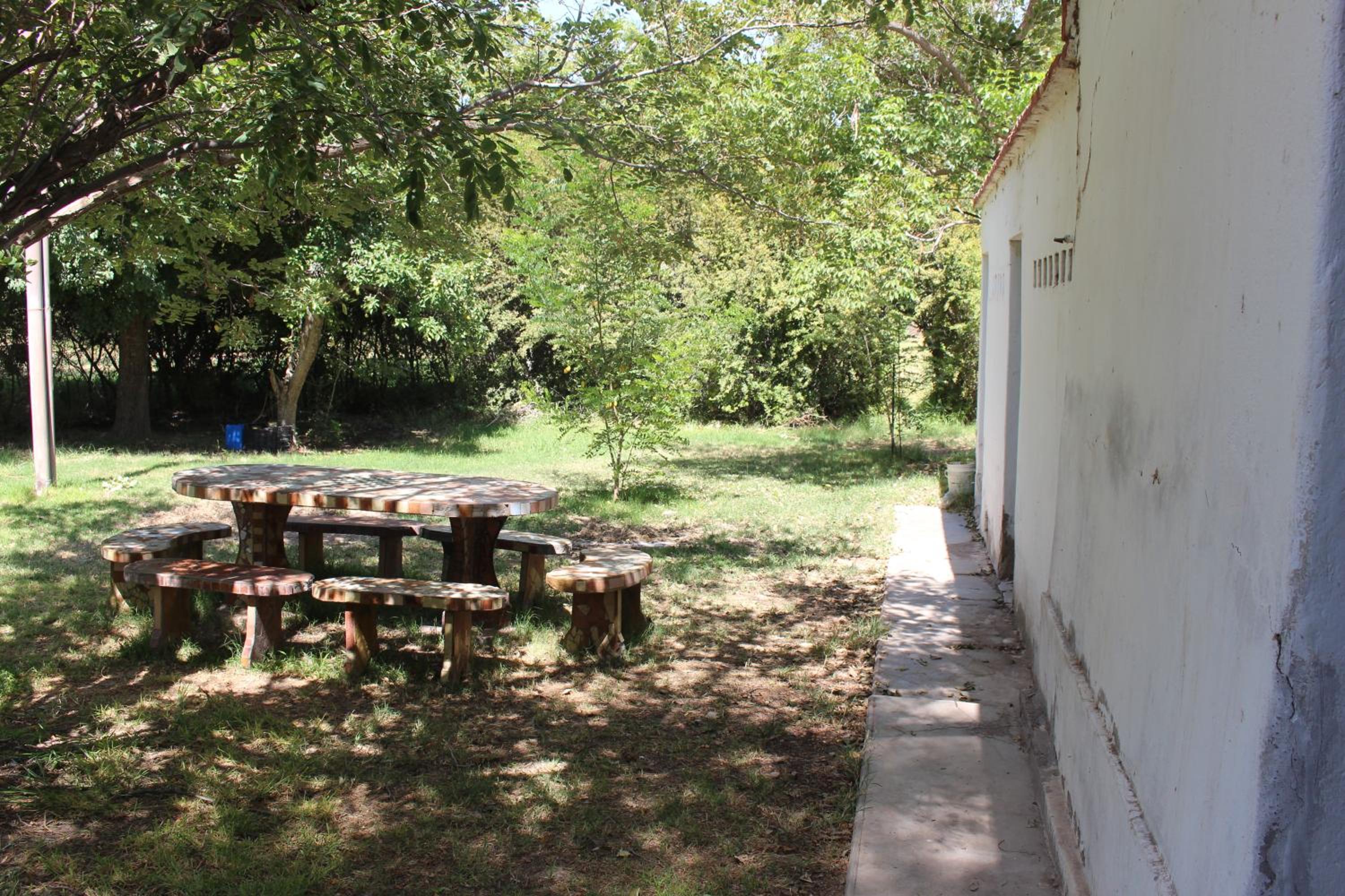 Cabaña en Olivar Centenario Agroecológico Tutuna
