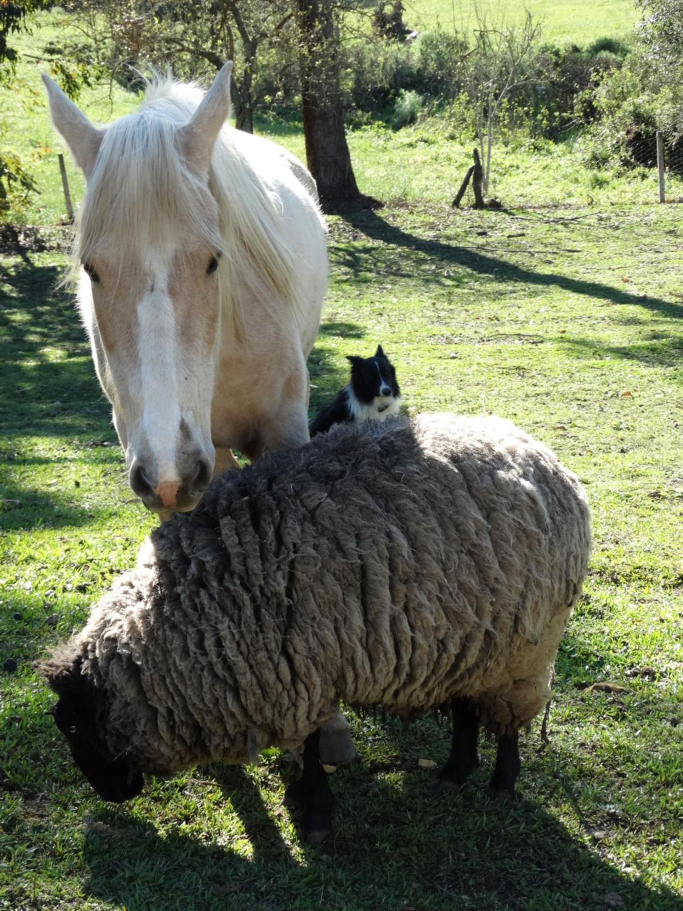 Photo 44