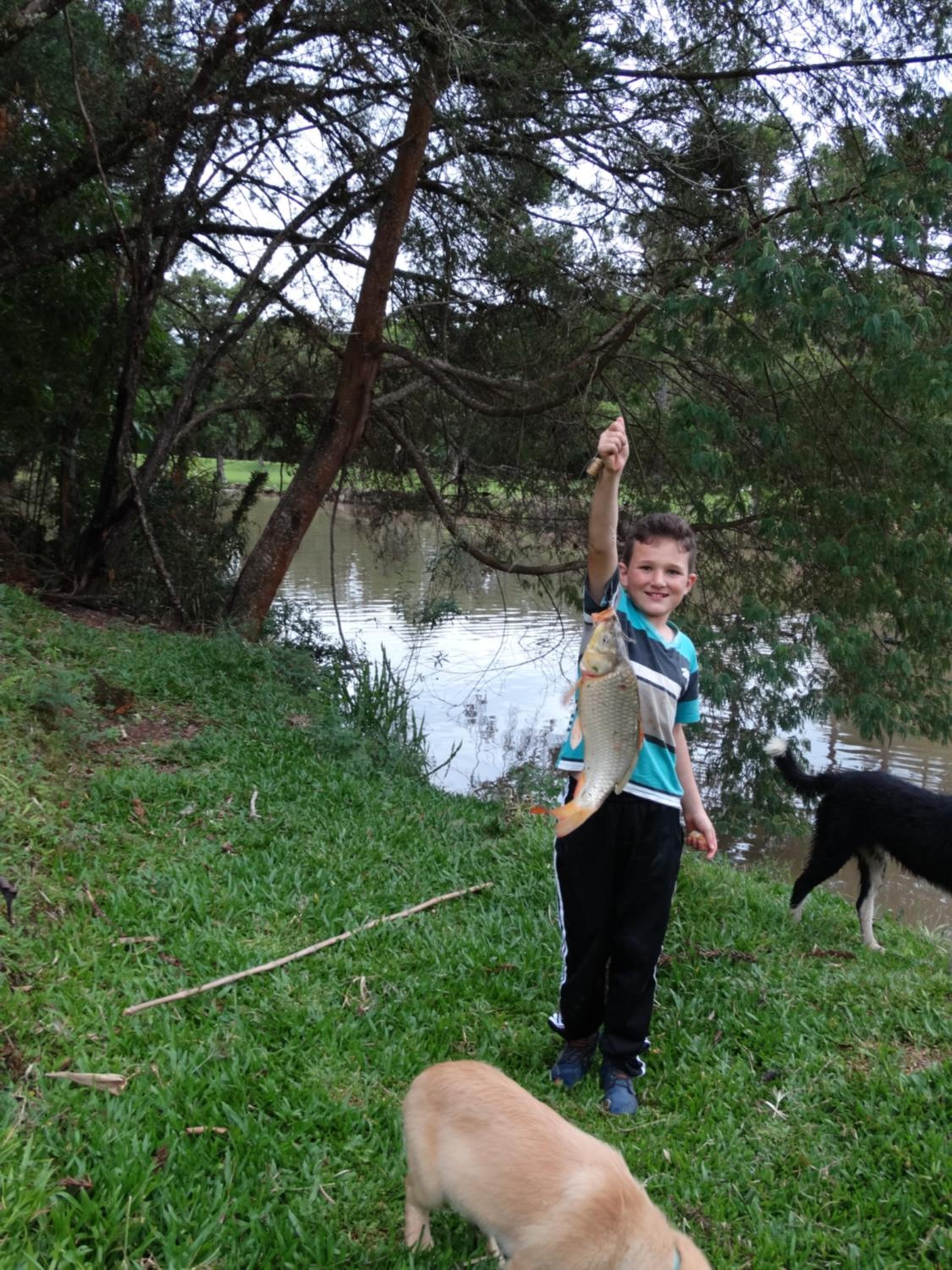 Photo 40