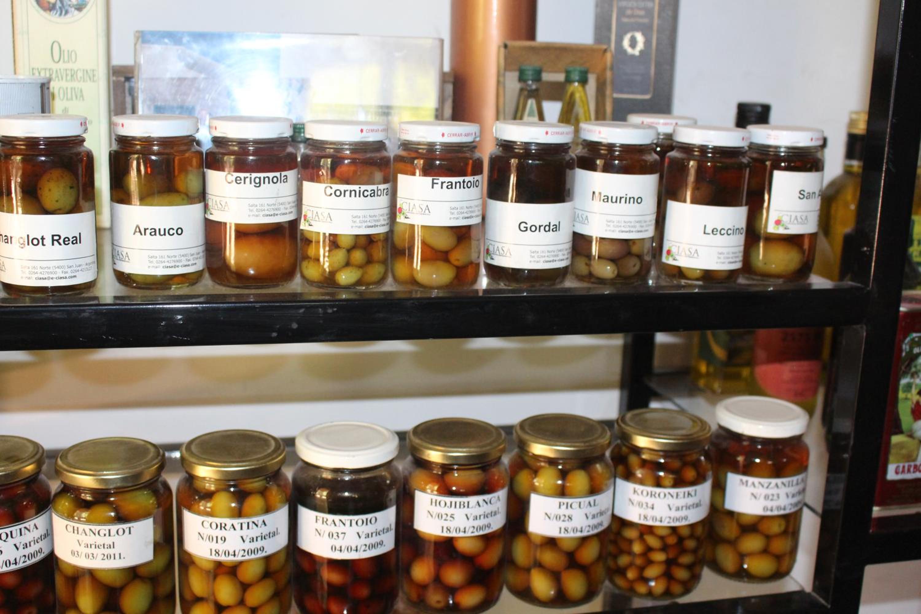 Cabaña en Olivar Centenario Agroecológico Tutuna