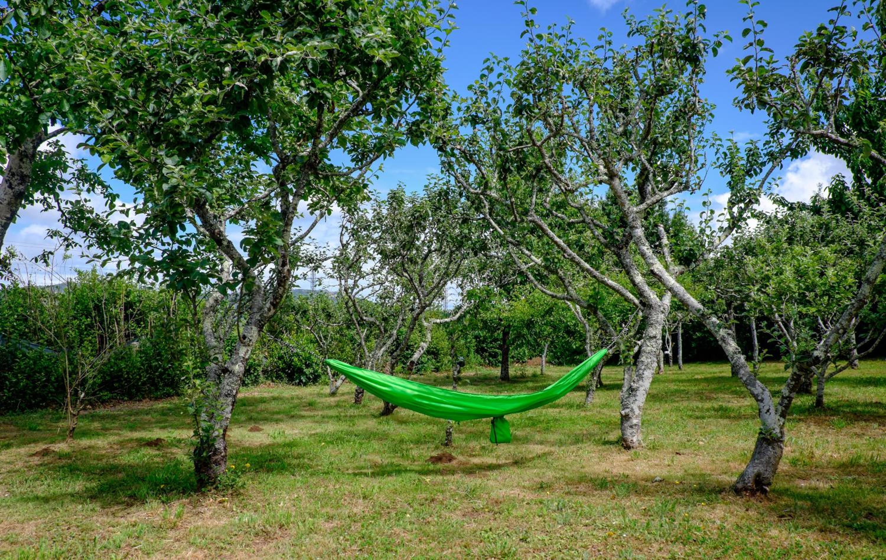 Turismo Rural O Xastre de Anos