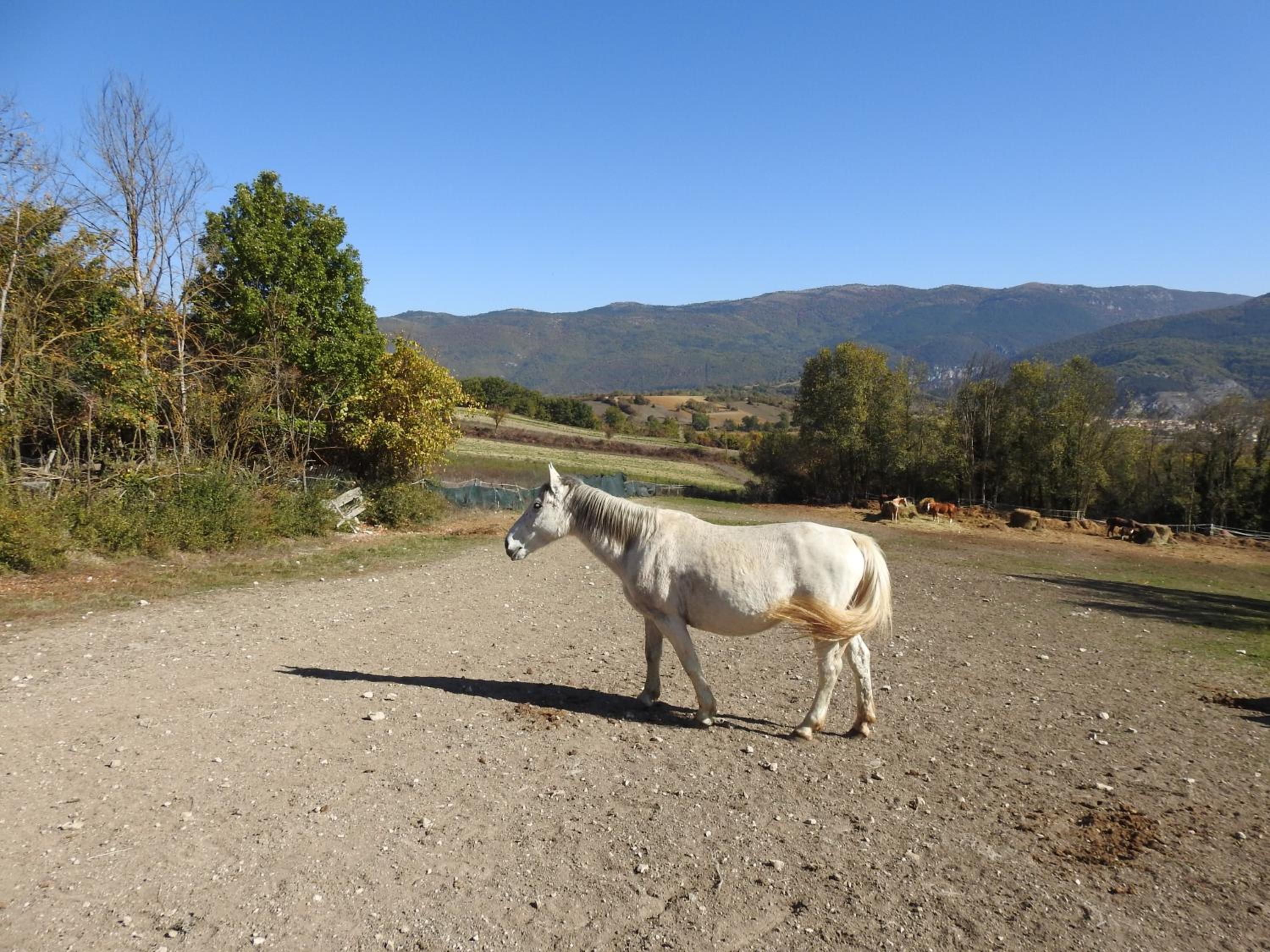 Photo 90