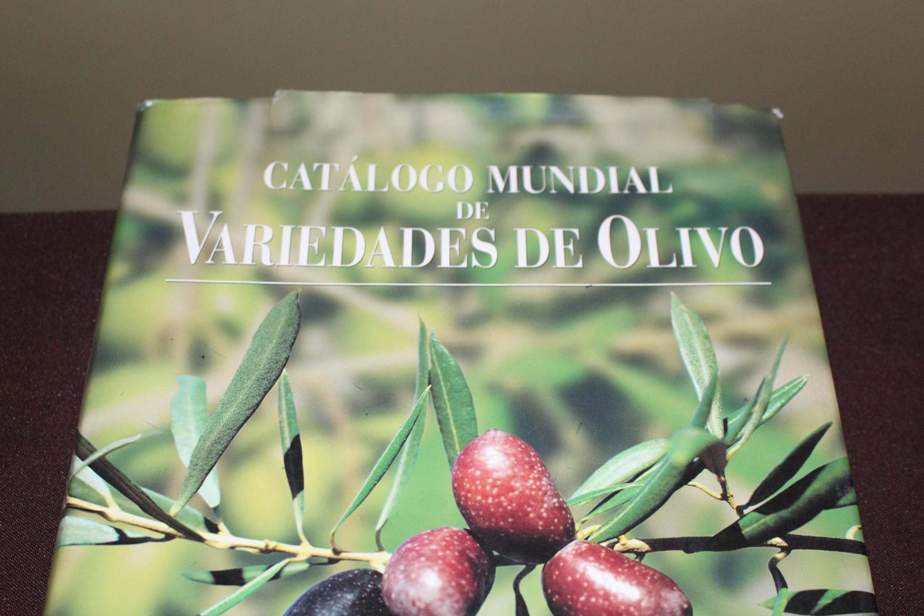 Cabaña en Olivar Centenario Agroecológico Tutuna