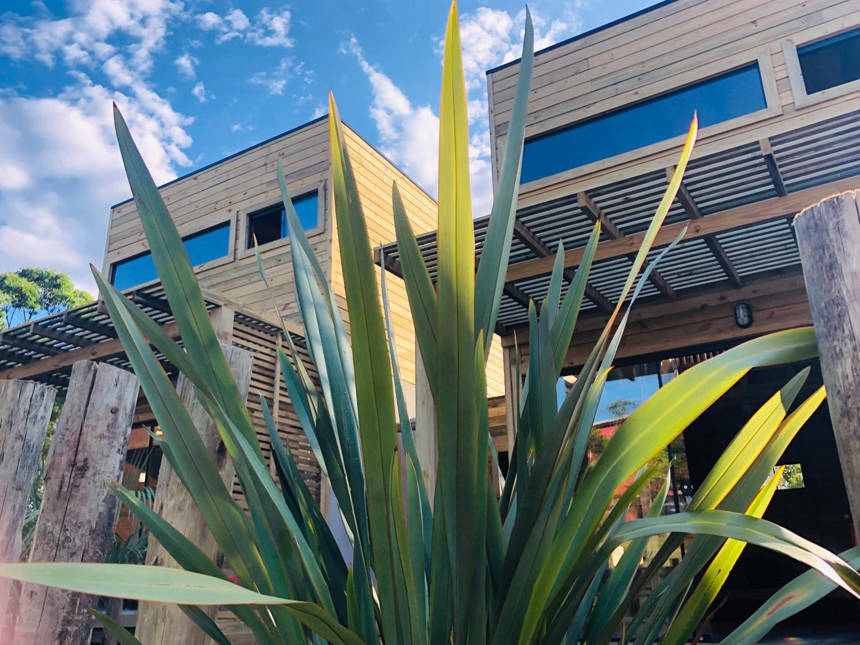 Rosa Lodge Lofts