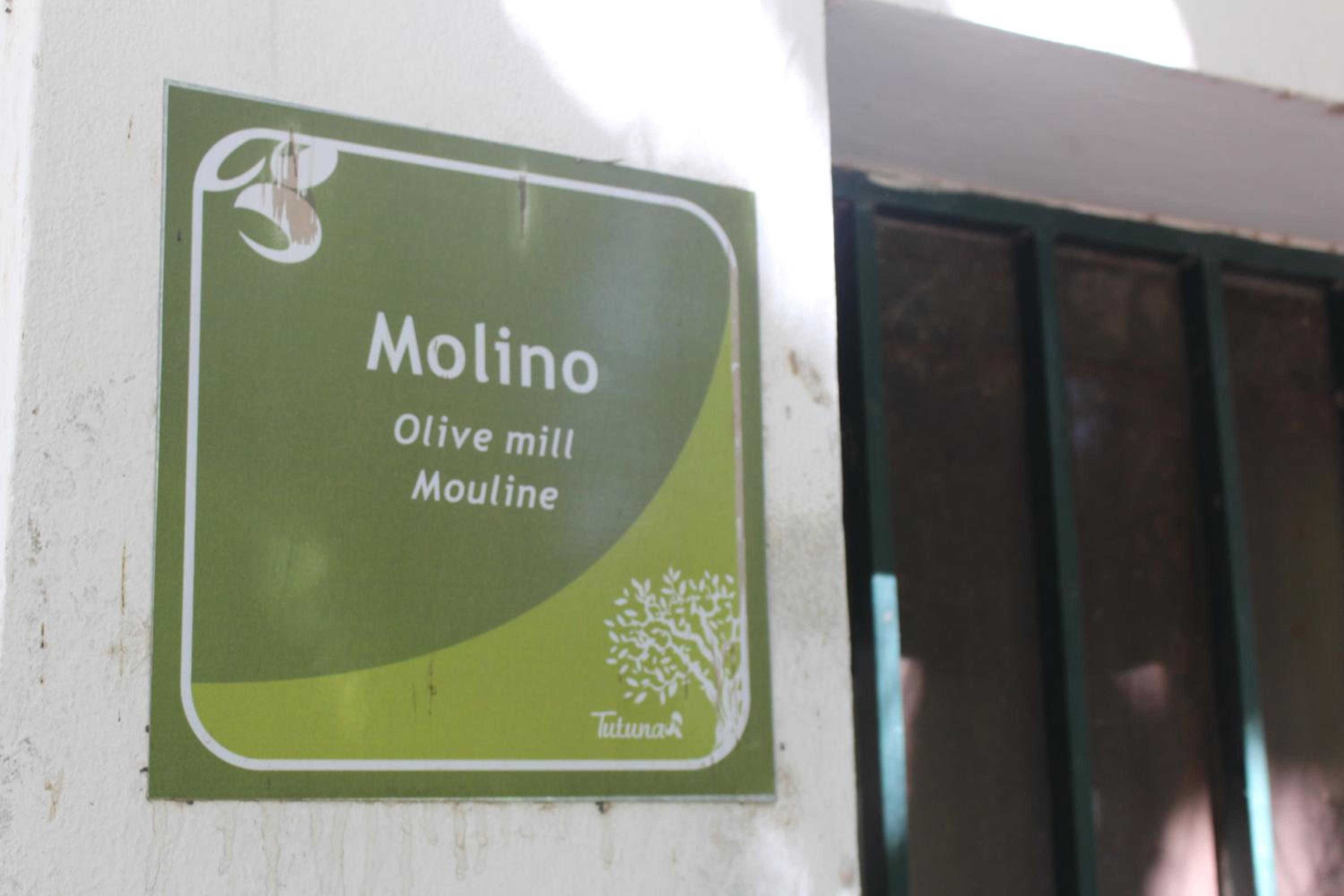 Cabaña en Olivar Centenario Agroecológico Tutuna