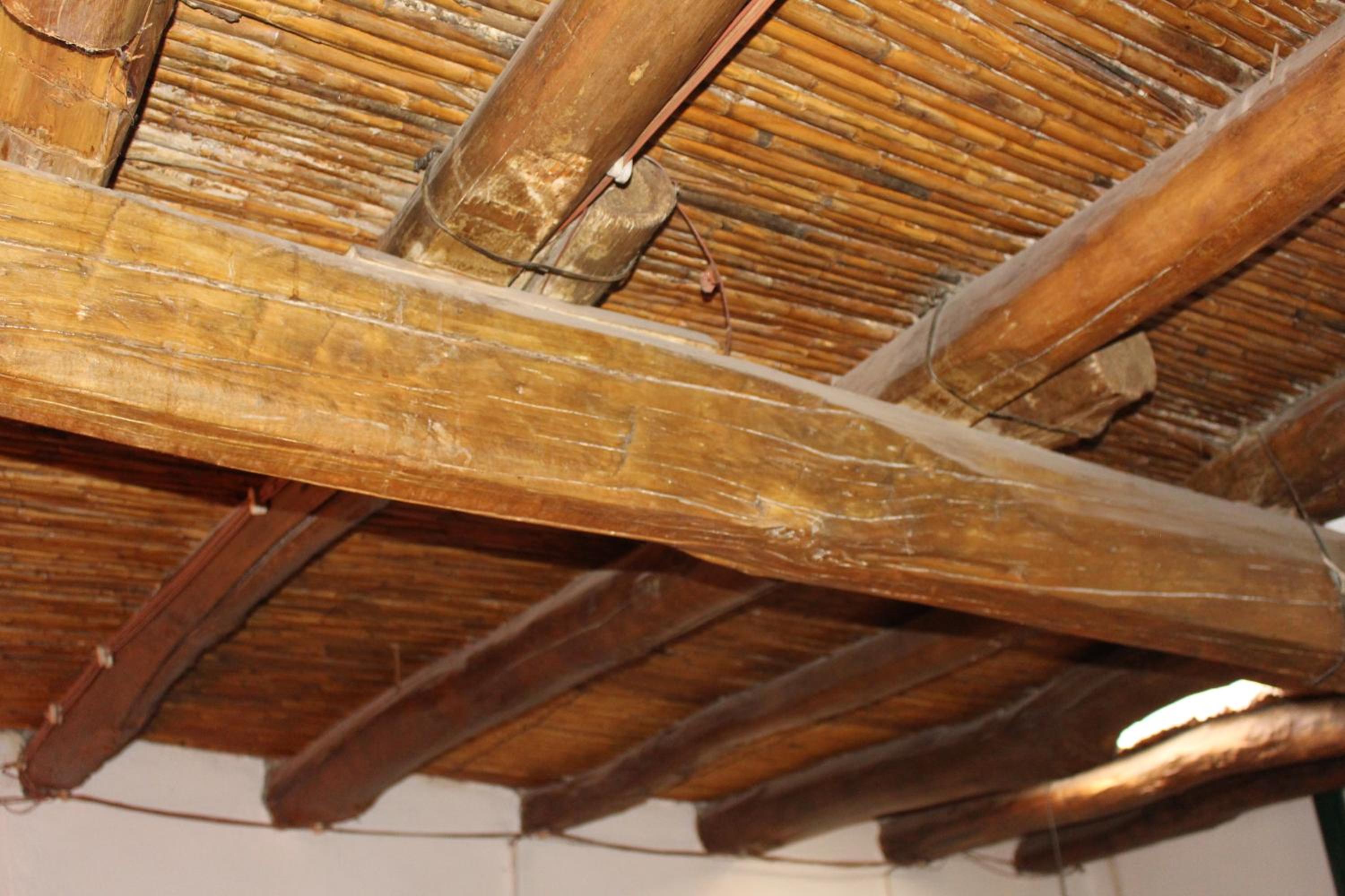 Cabaña en Olivar Centenario Agroecológico Tutuna