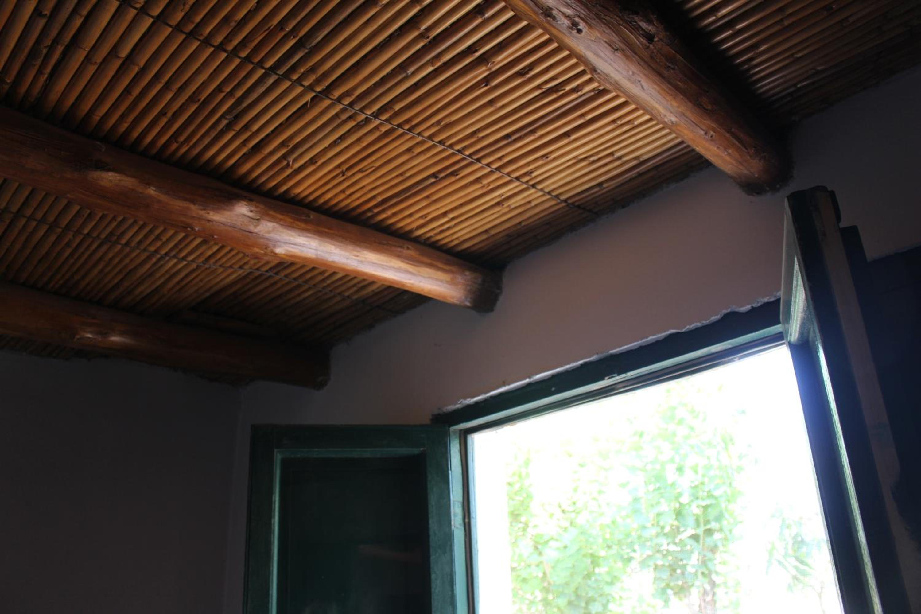 Cabaña en Olivar Centenario Agroecológico Tutuna