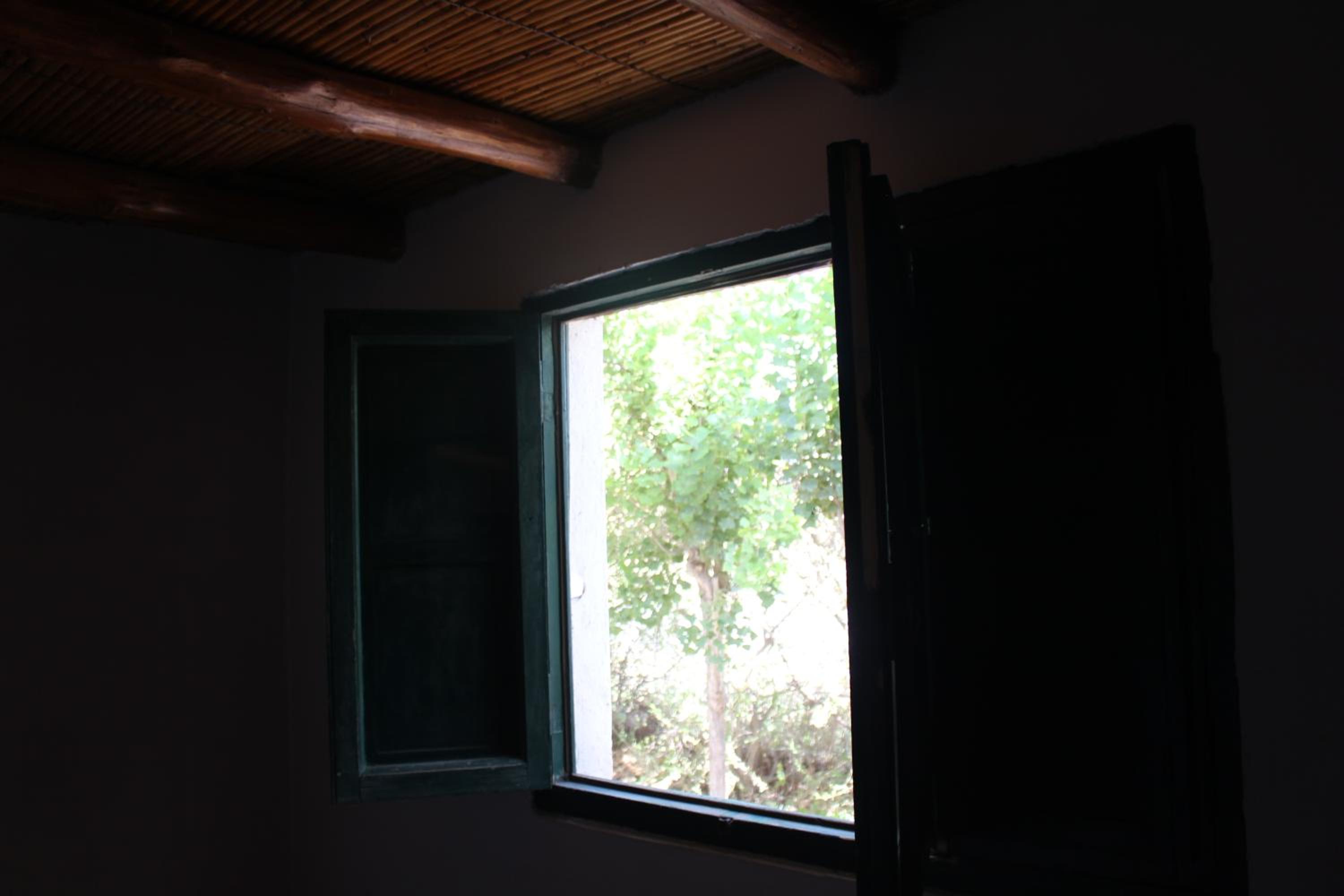 Cabaña en Olivar Centenario Agroecológico Tutuna