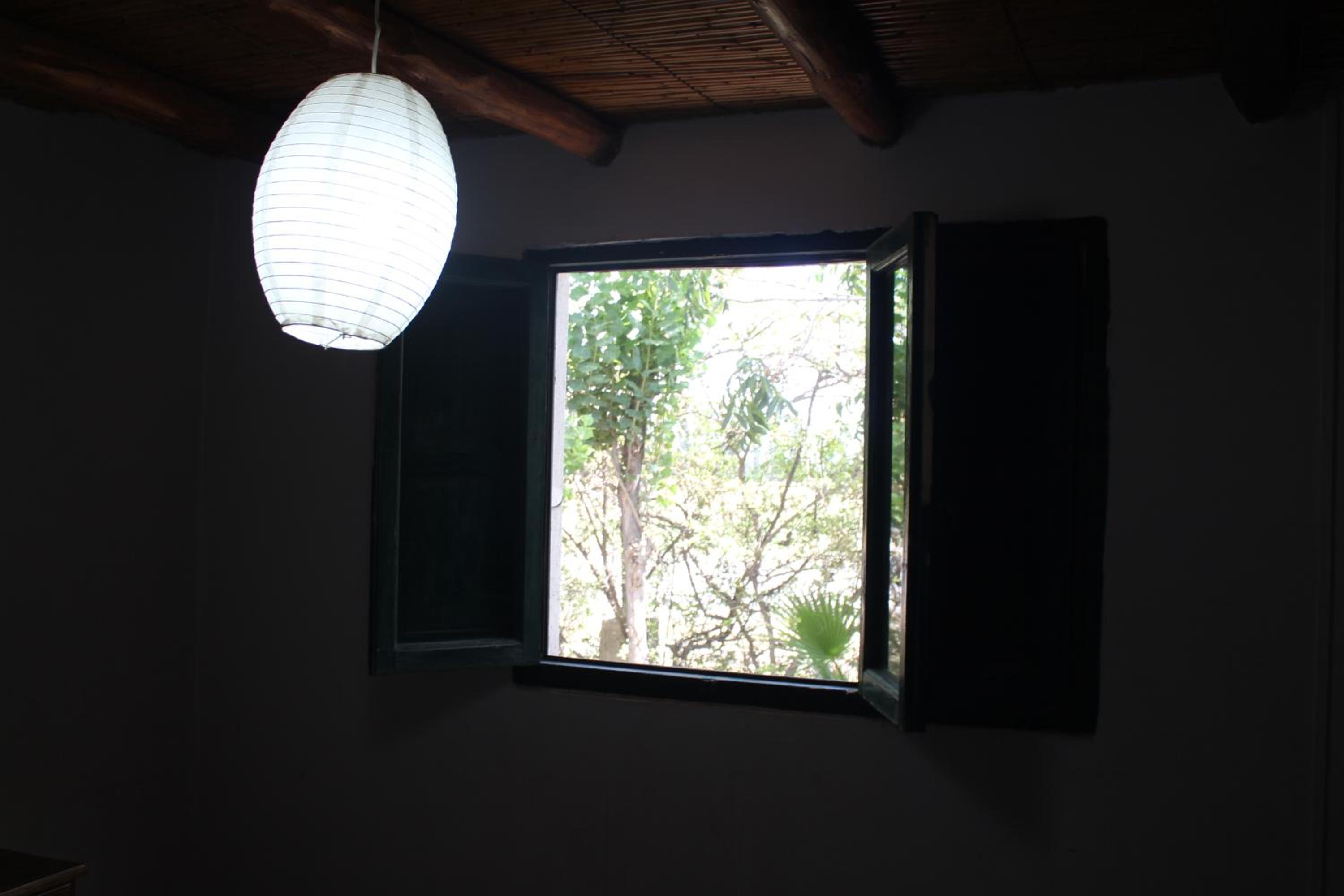 Cabaña en Olivar Centenario Agroecológico Tutuna