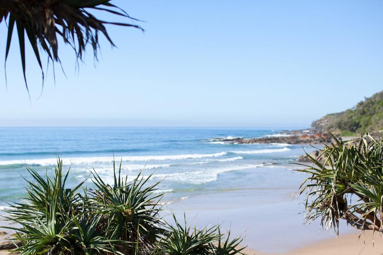 Papillon Coolum