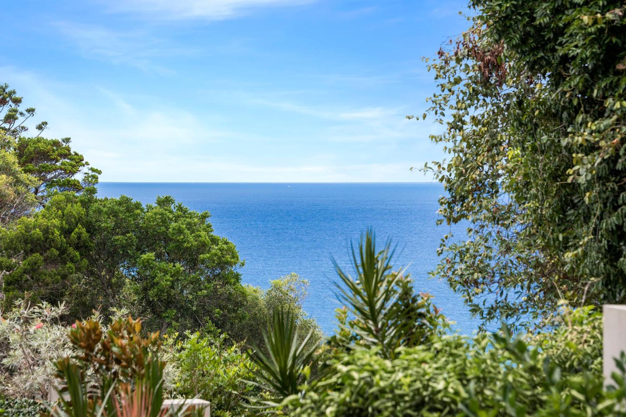 Papillon Coolum