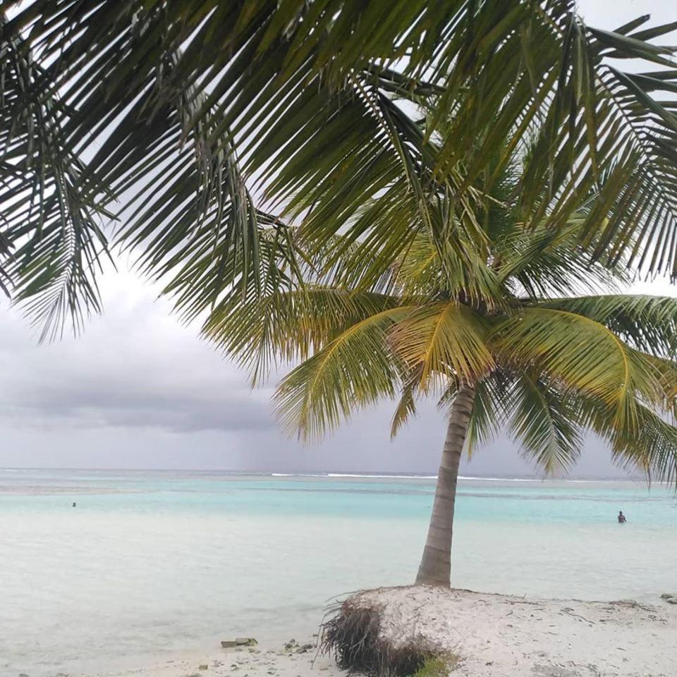 Bahari Lodge, K.Kaashidhoo