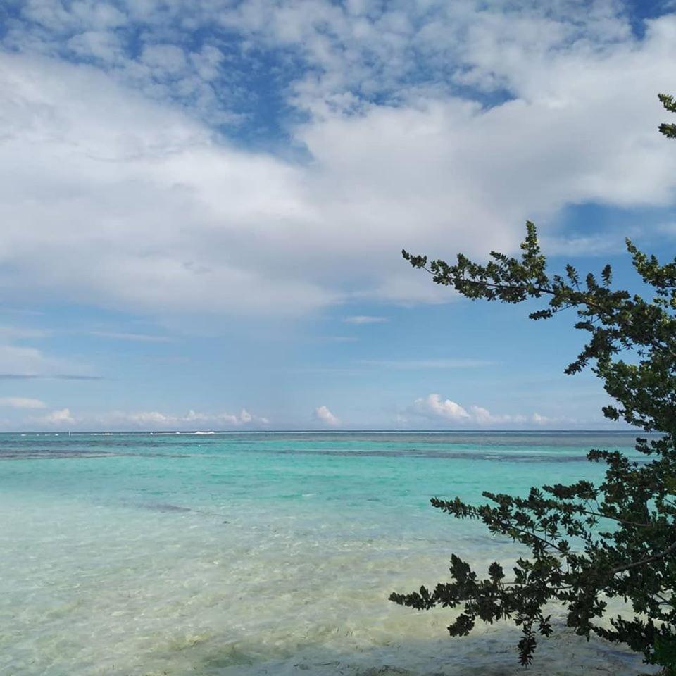 Bahari Lodge, K.Kaashidhoo