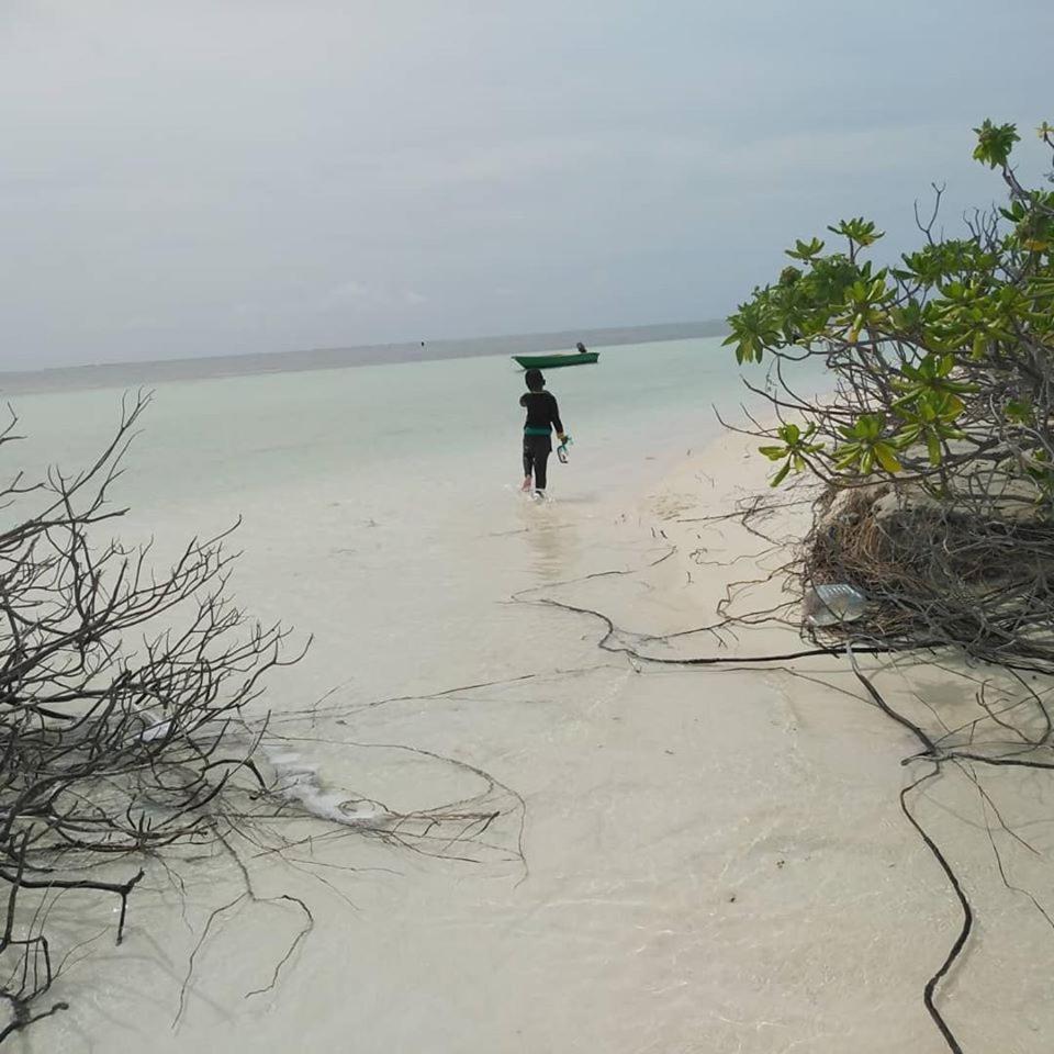 Bahari Lodge, K.Kaashidhoo