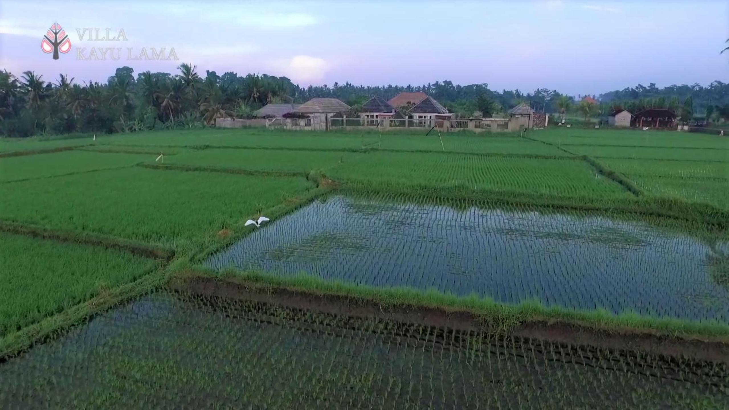 Villa Kayu Lama