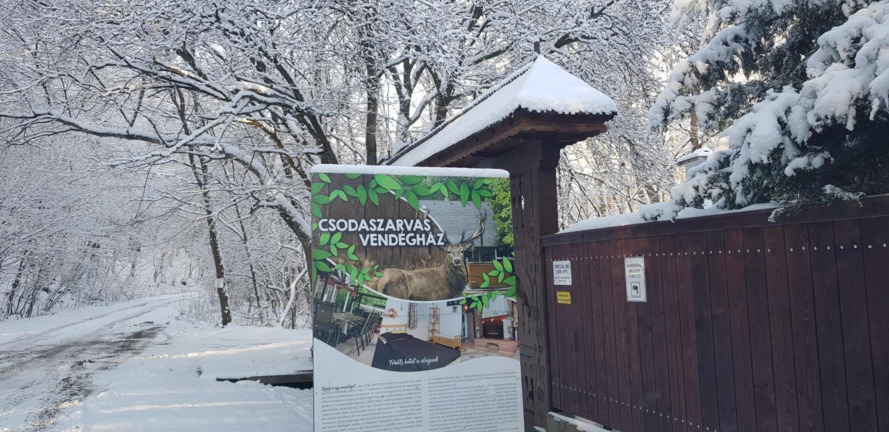 Csodaszarvas Vendégház view 3