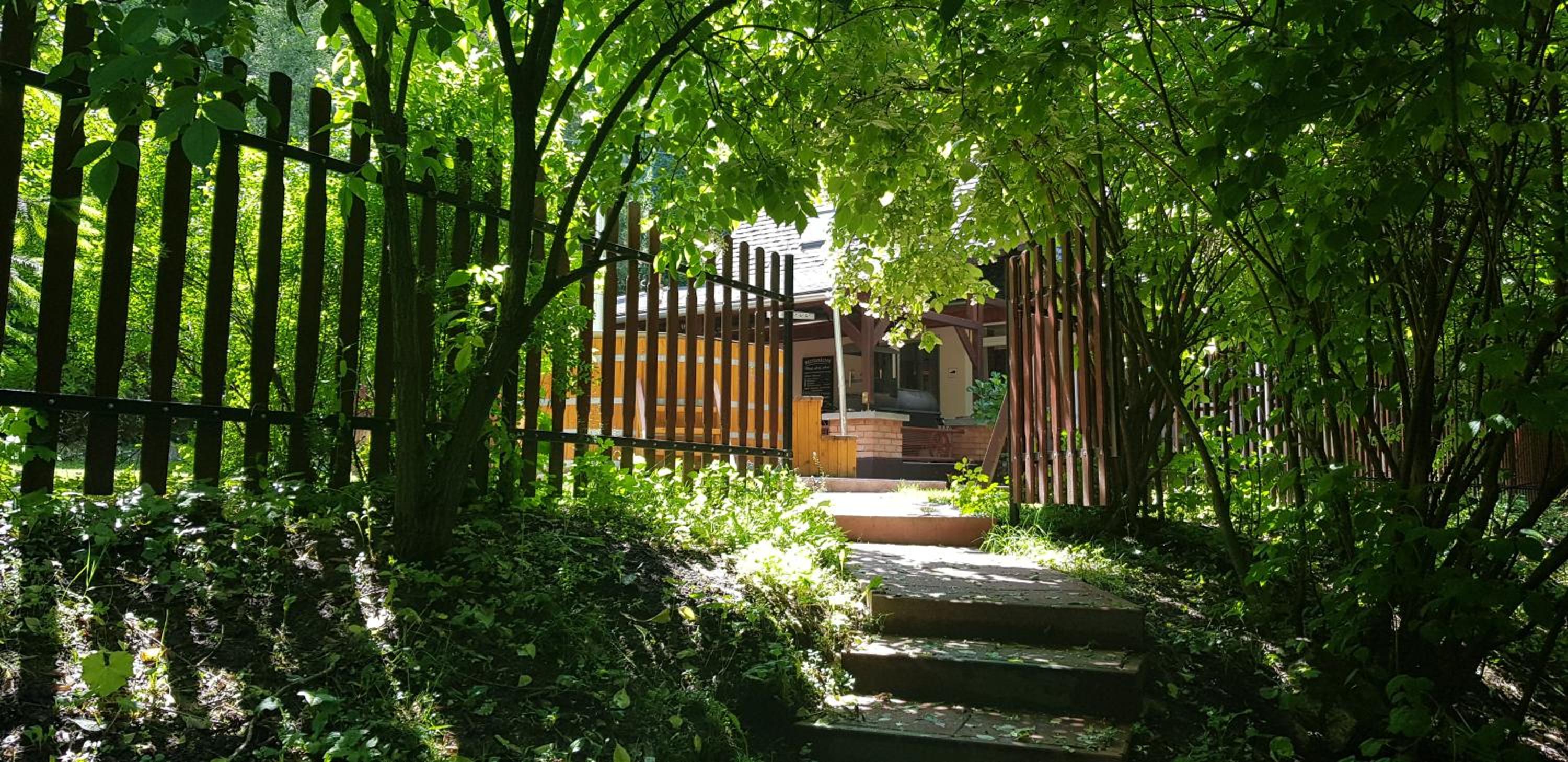 Photo 9
