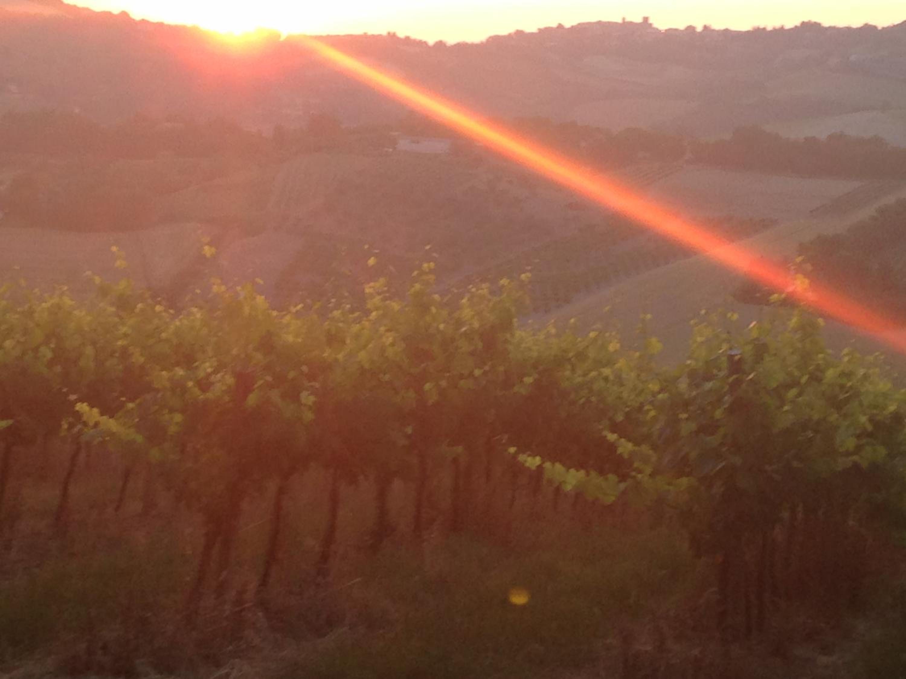 Precious Villa Italy just few minutes drive from Pesaro beach view 4