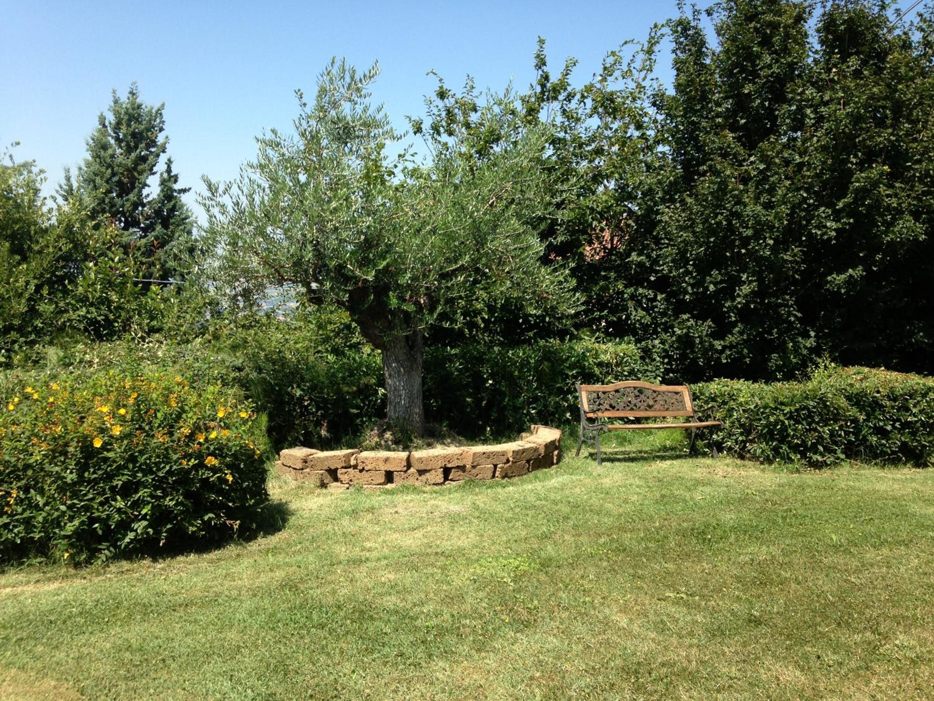 Precious Villa Italy just few minutes drive from Pesaro beach view 5