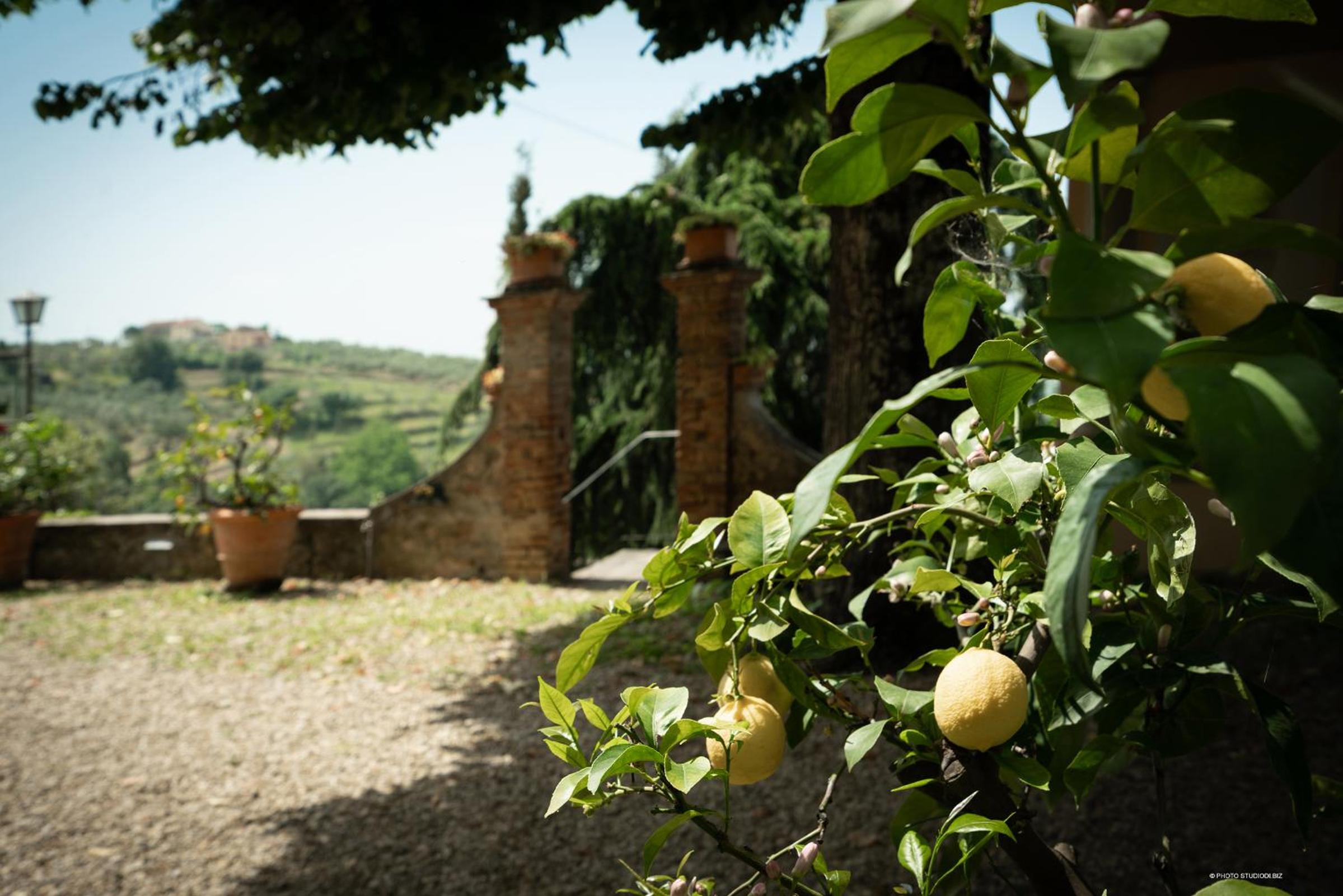 Agriturismo La Gioconda