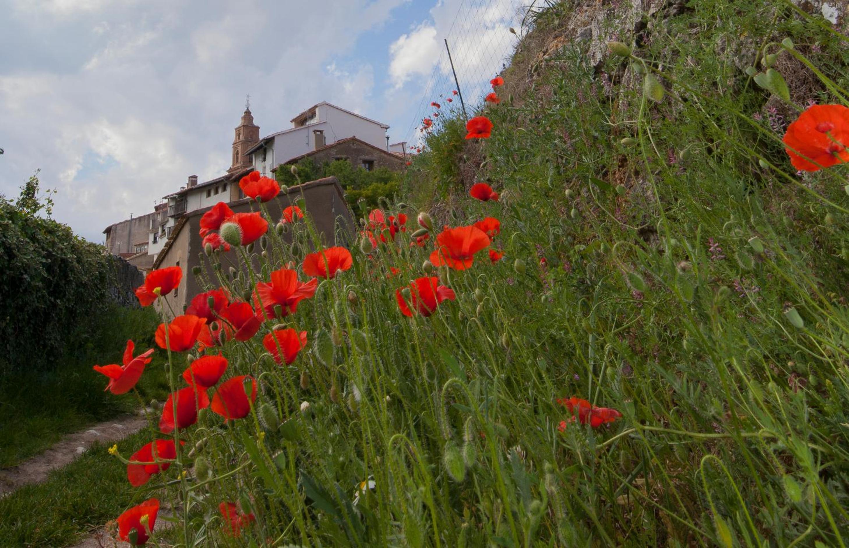 Cases dels Gasulla