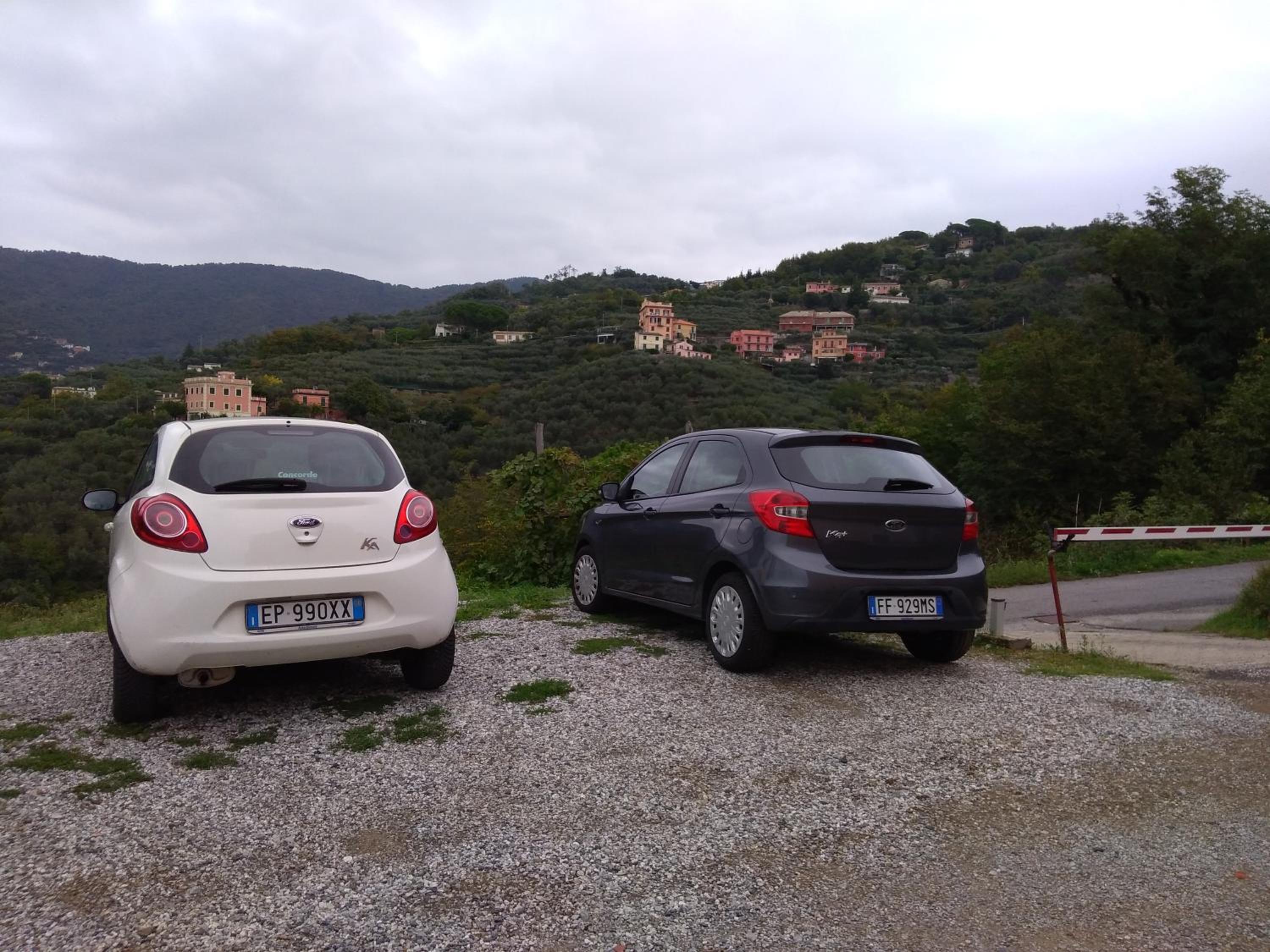 Photo 44