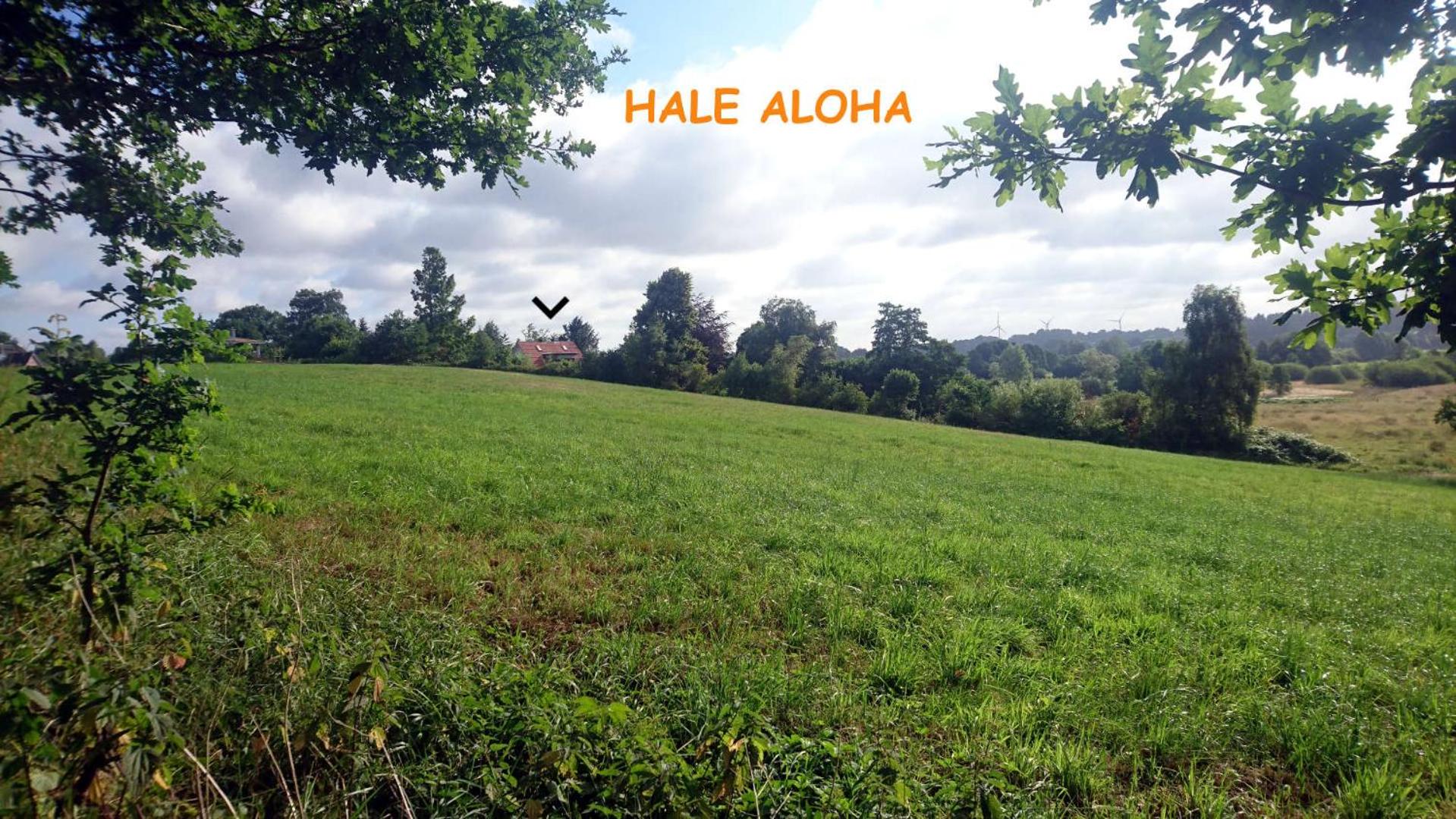 Hale Aloha