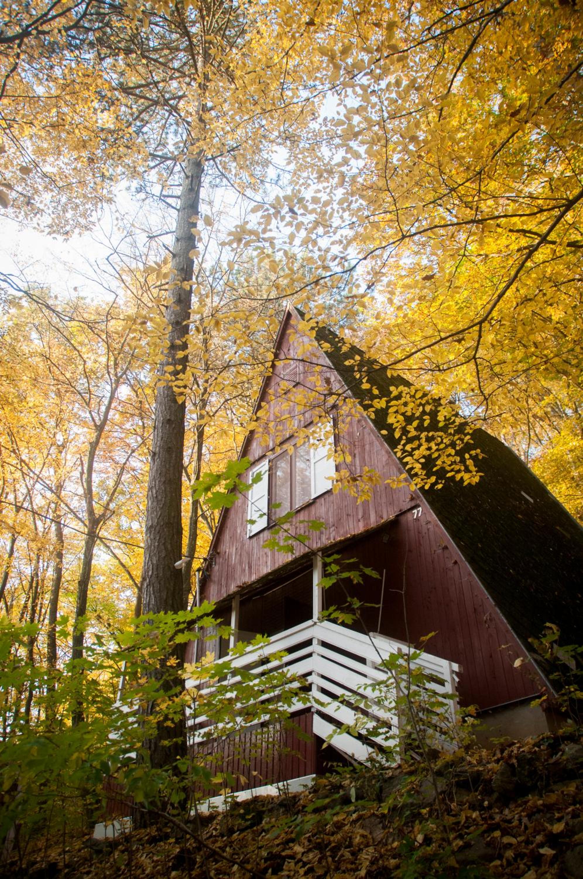 Noszvaj Cabin view 2